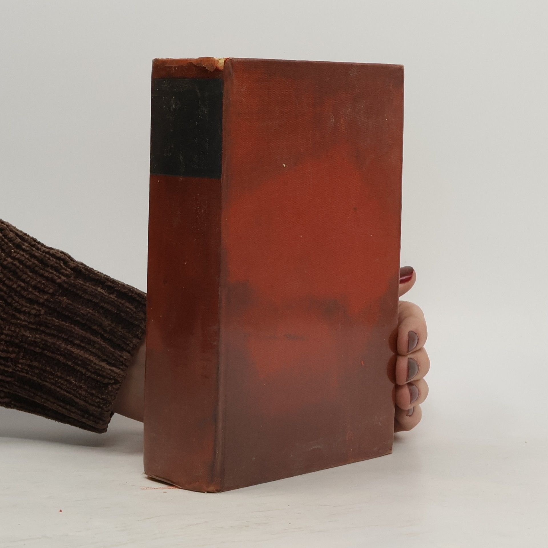 Theun de Vries Das Mädchen mit dem roten Haar: Roman aus der Widerstandsbewegung 1942 bis 1945