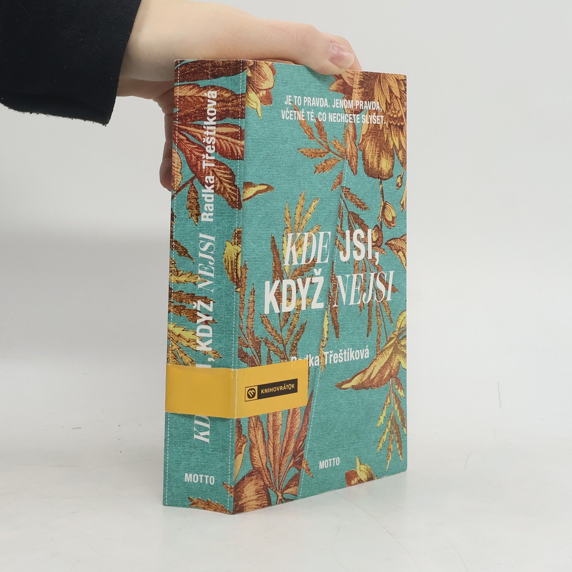 Radka Třeštíková Kde jsi, když nejsi