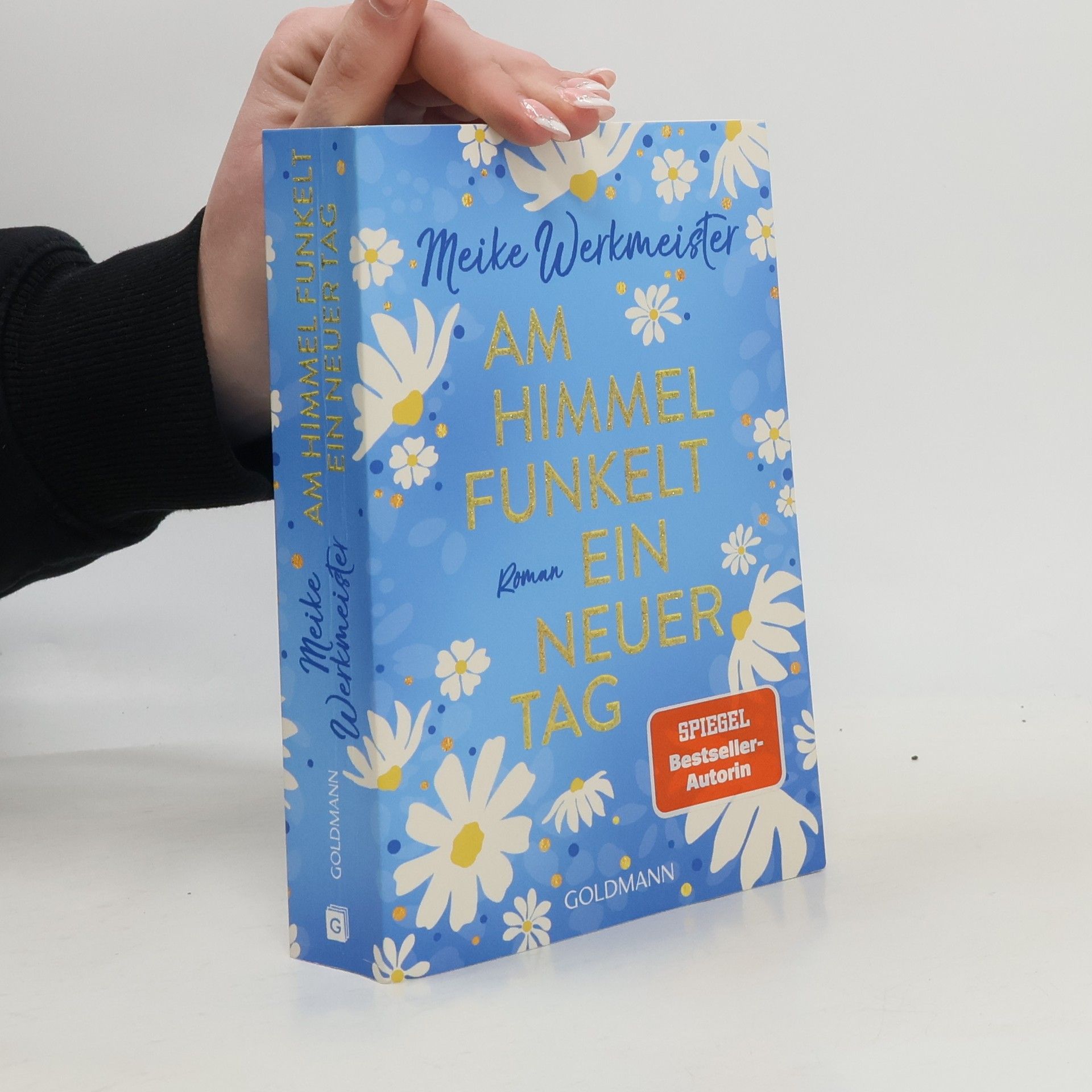 Meike Werkmeister Am Himmel funkelt ein neuer Tag