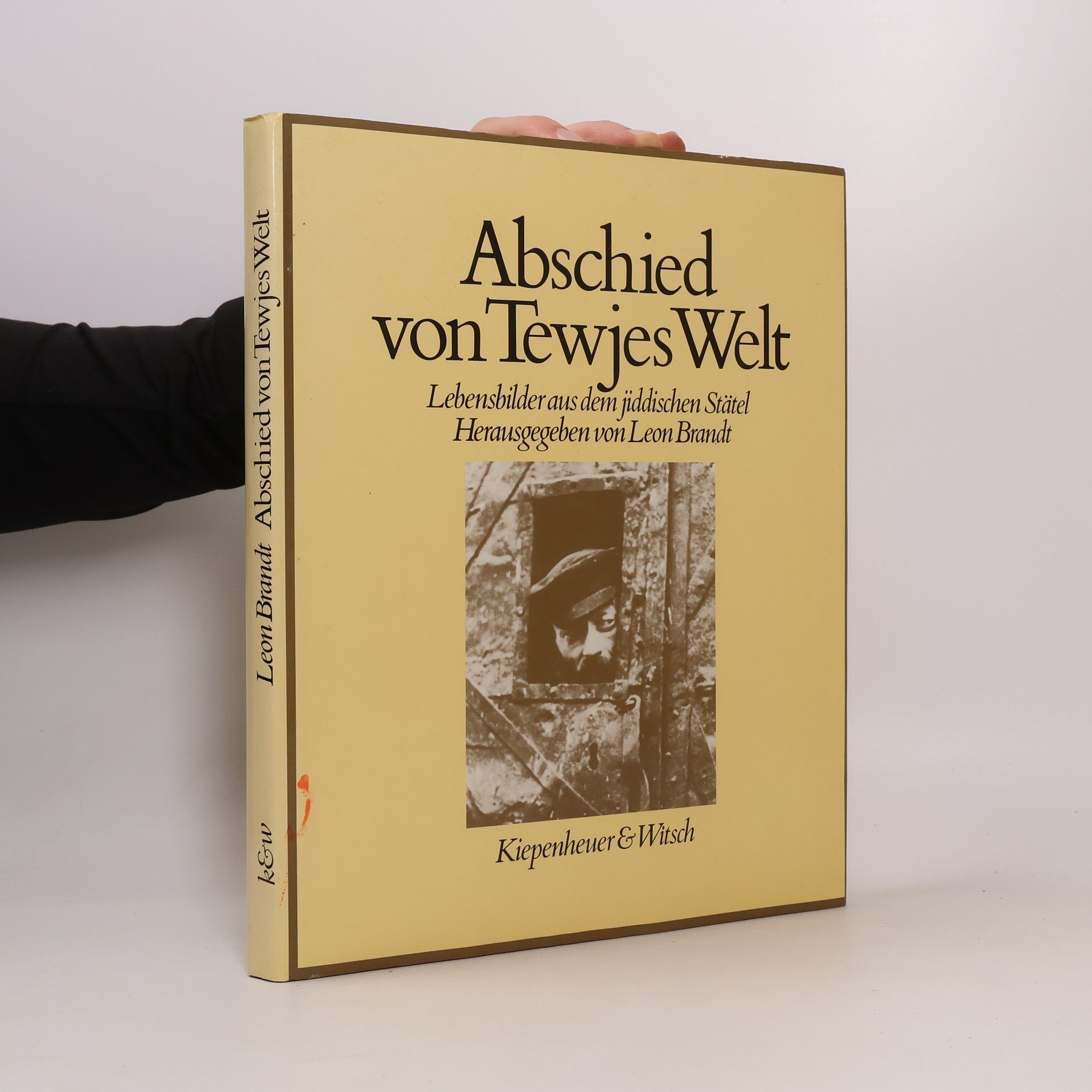 Leon Brandt Abschied von Tewjes Welt