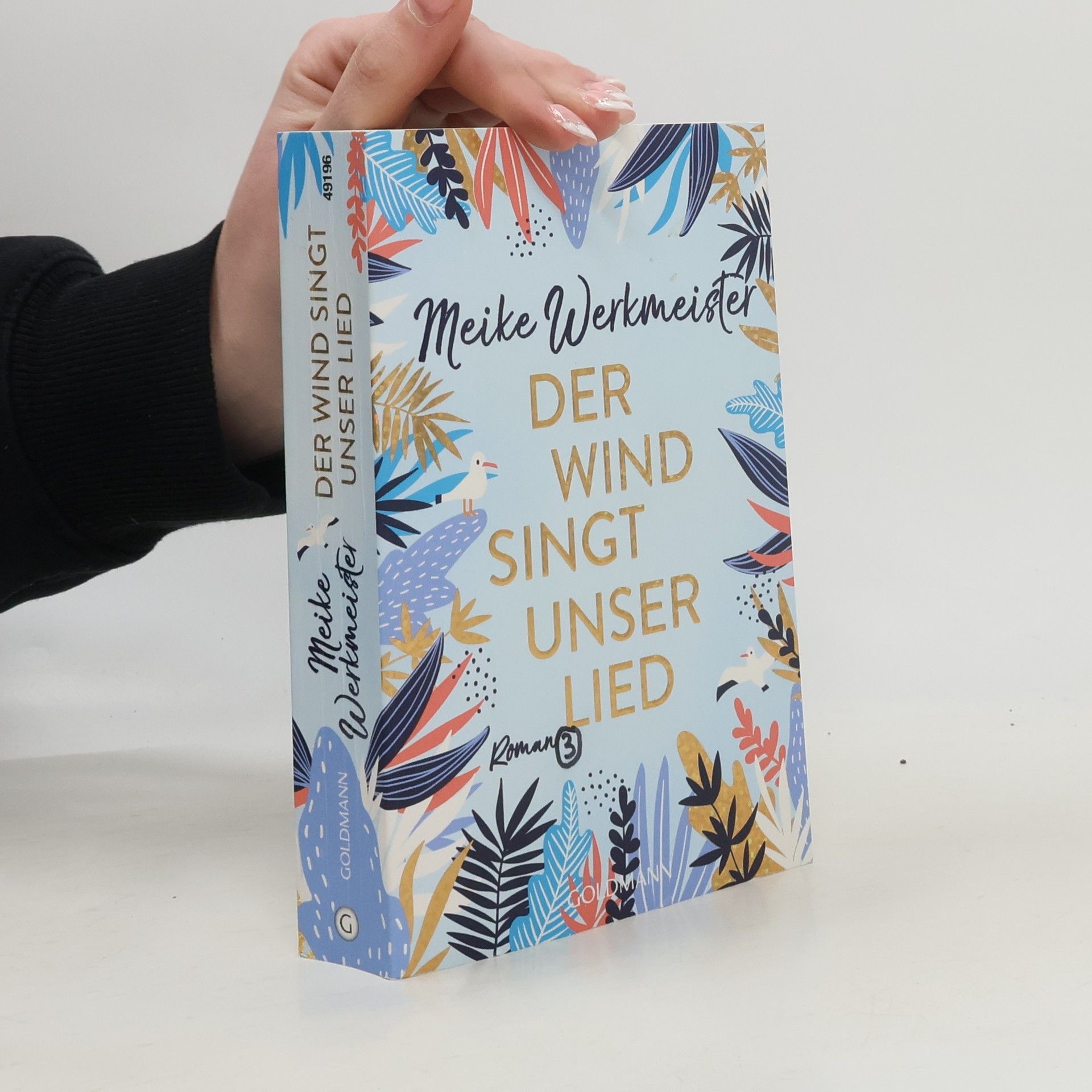 Meike Werkmeister Der Wind singt unser Lied