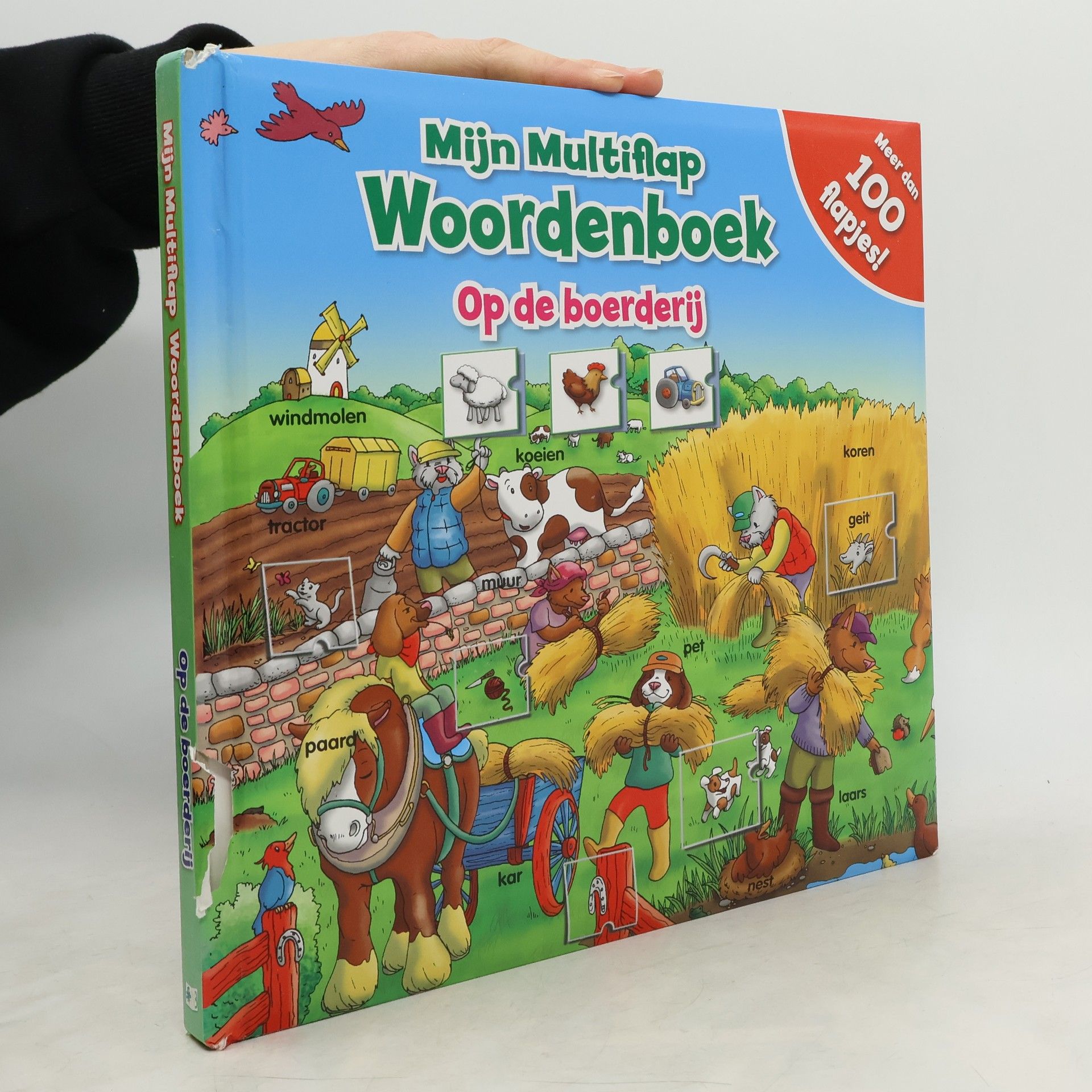 Autorenkollektiv Mijn Multiflap Woordenboek