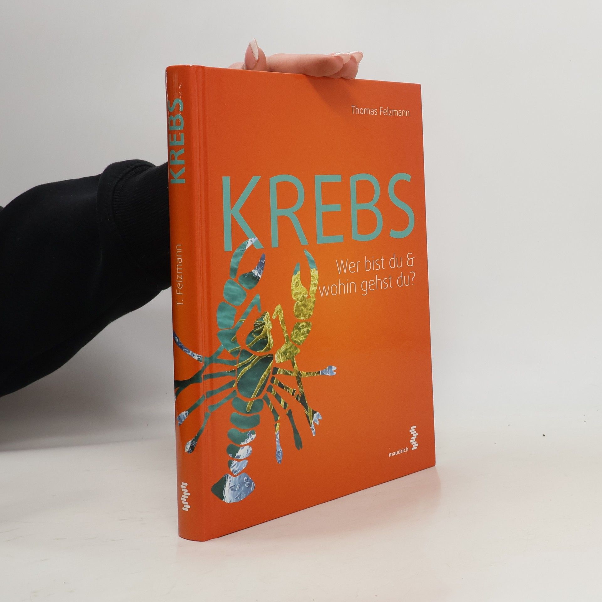 Krebs