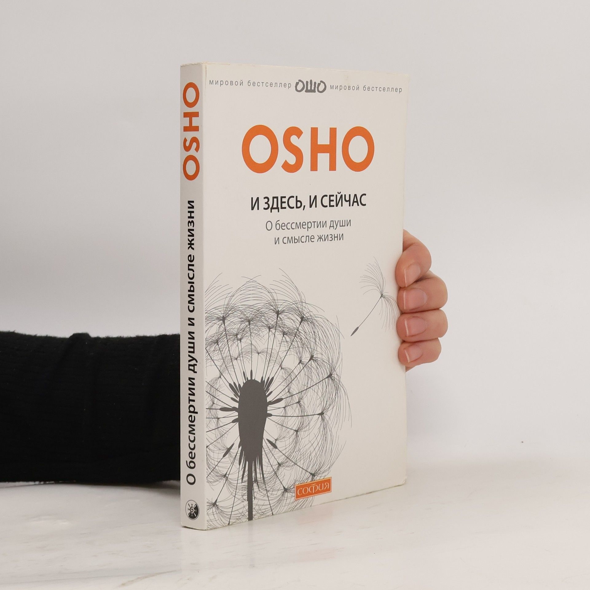 Ošó И здесь,и сейчас