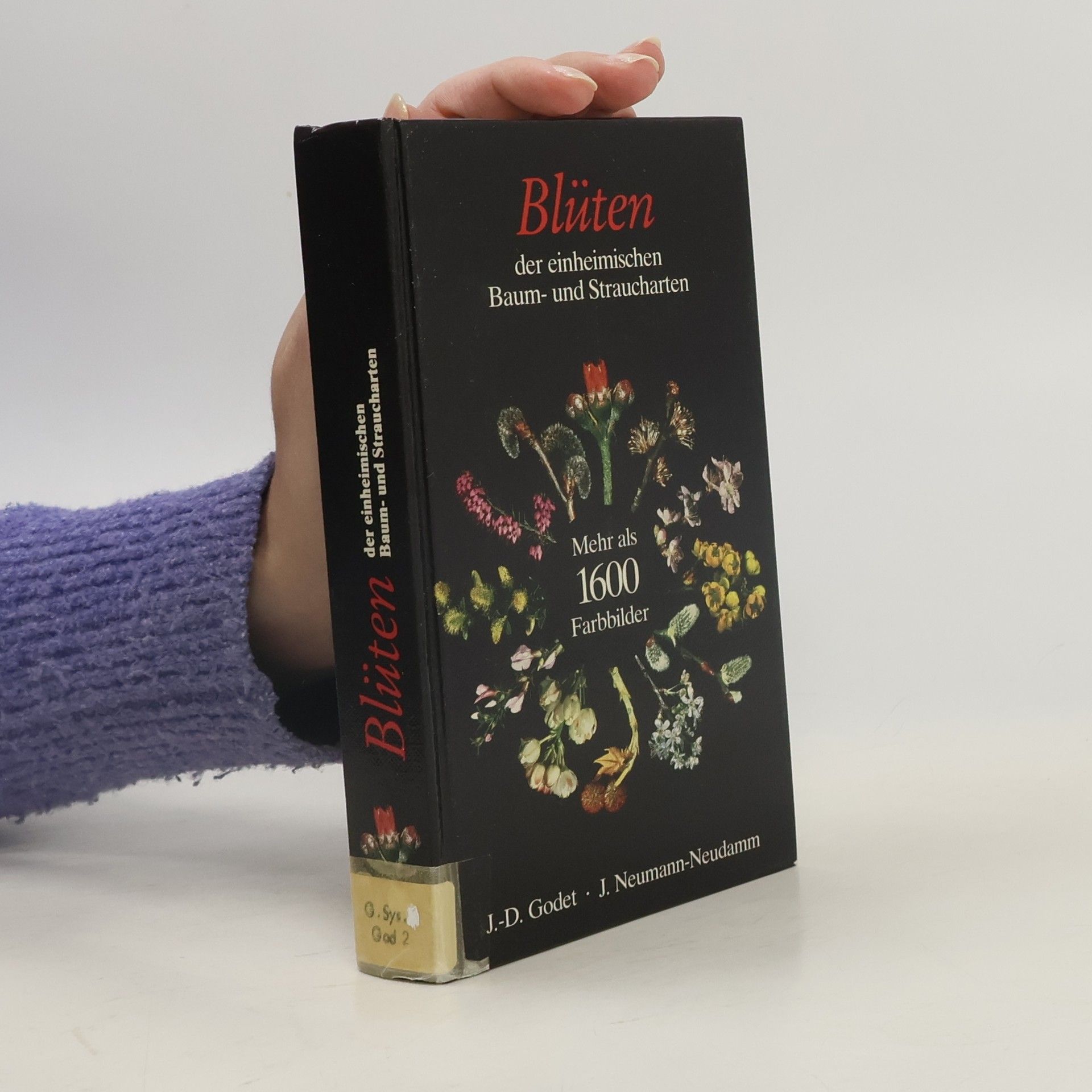 Blüten der einheimischen Baum- und Straucharten