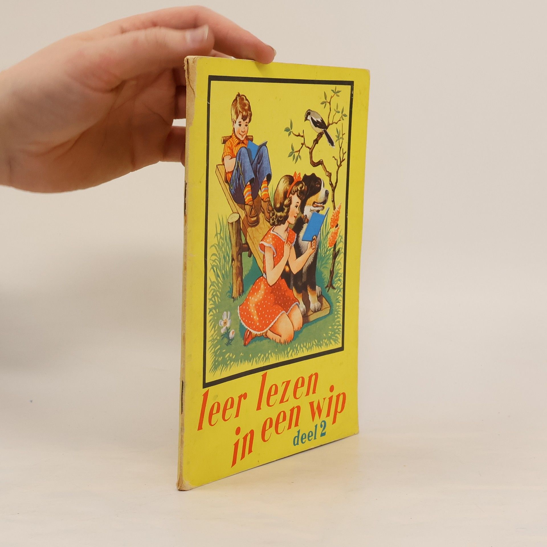 Collectif d'auteurs Leer lezen in een wip