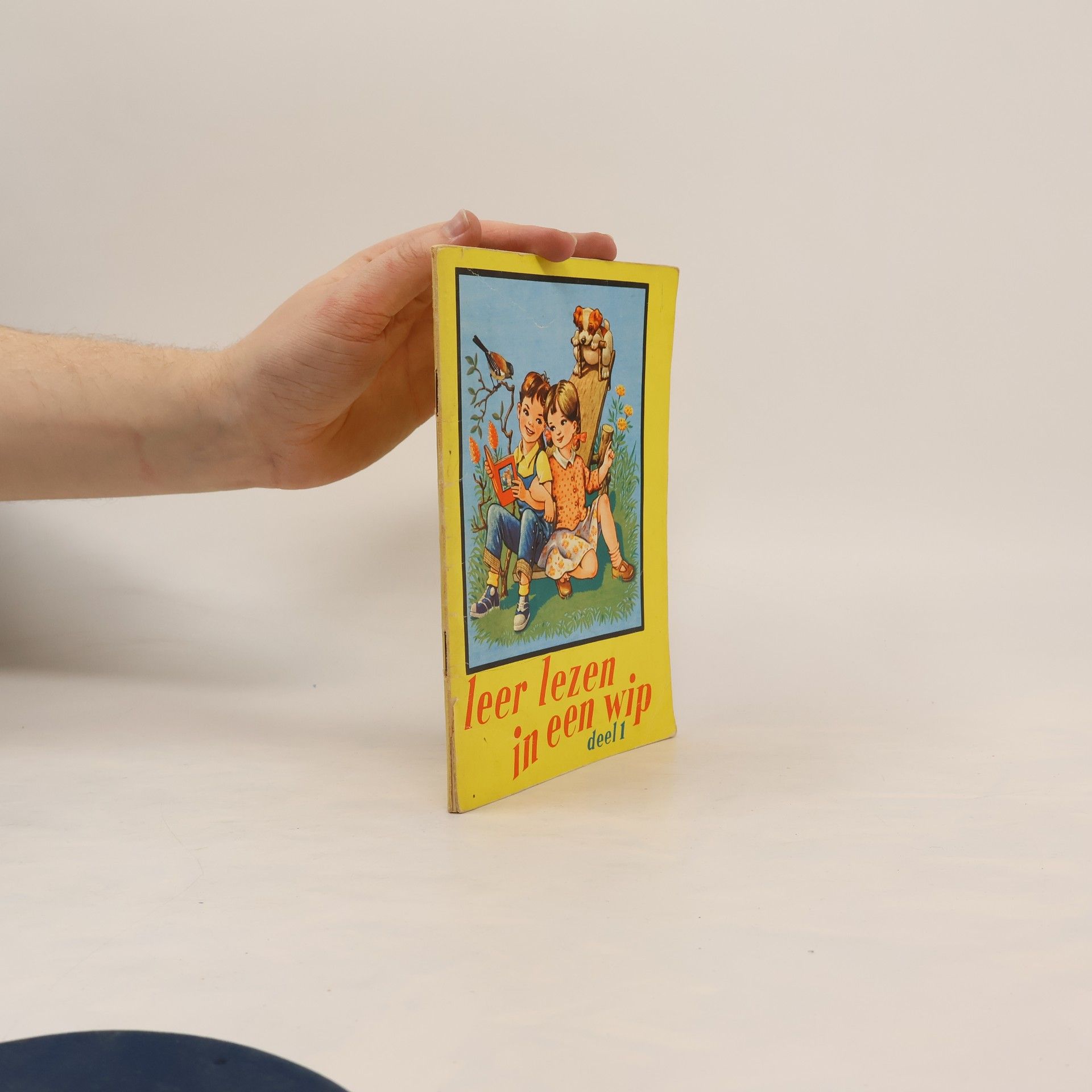 Auteurscollectief Leer lezen in een wip. Deel 1.