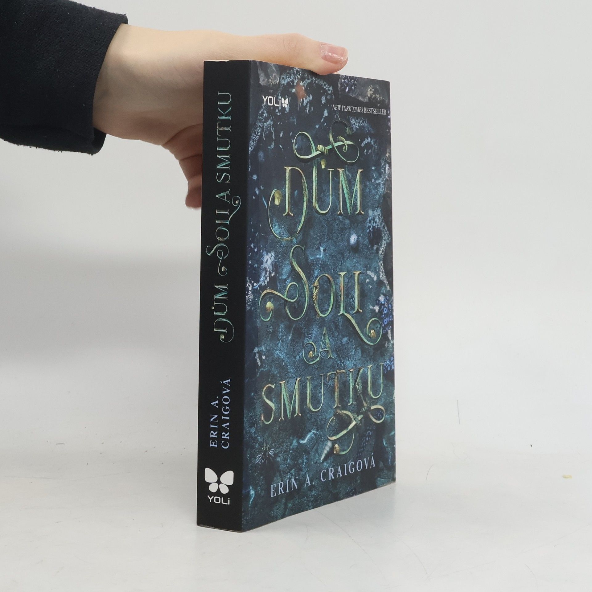 Erin A. Craig Dům soli a smutku