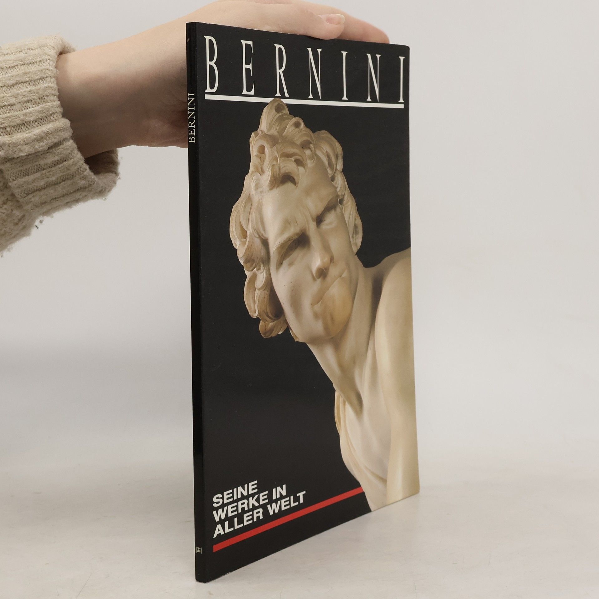 Bernini. Seine Werke in aller Welt