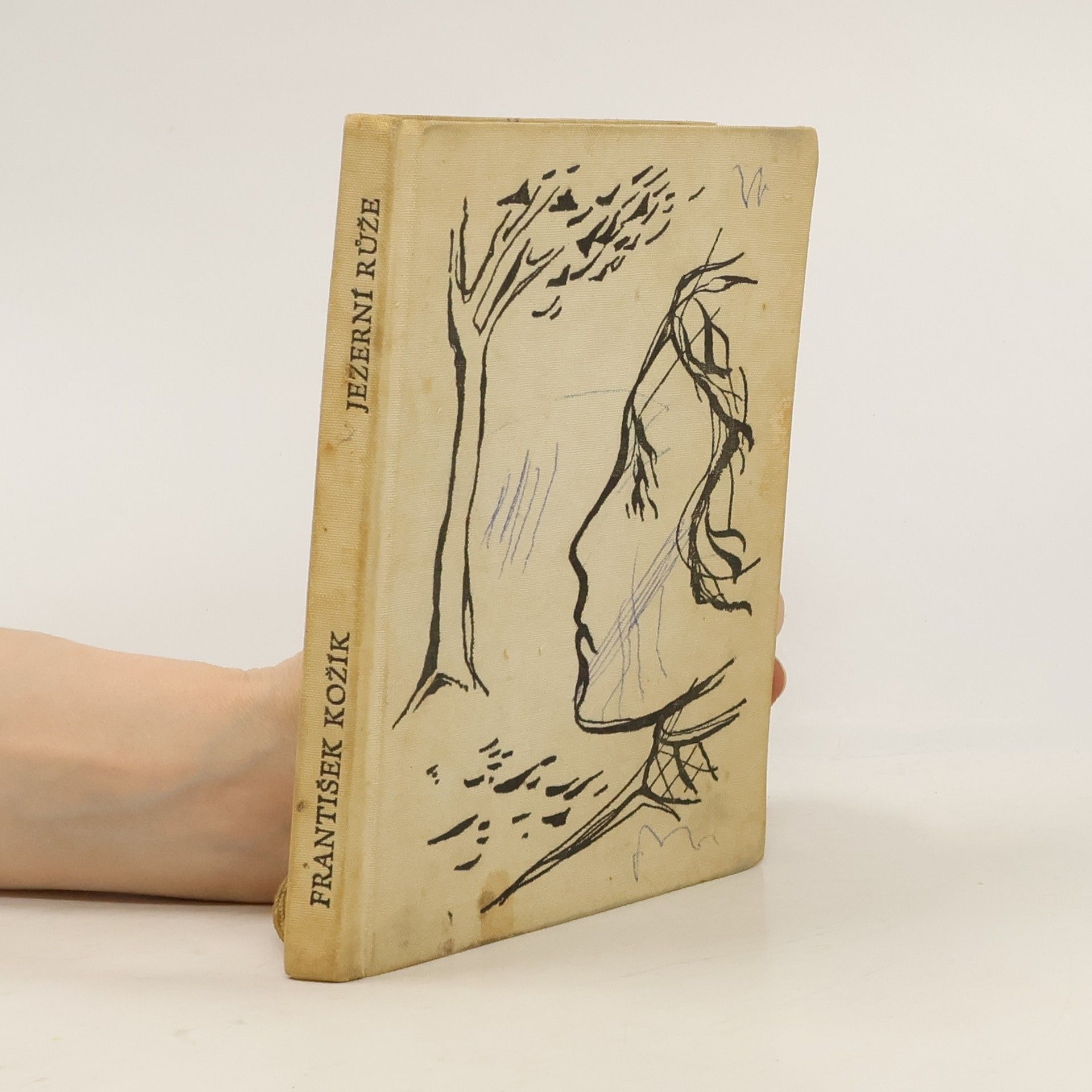 František Kožík Jezerní růže