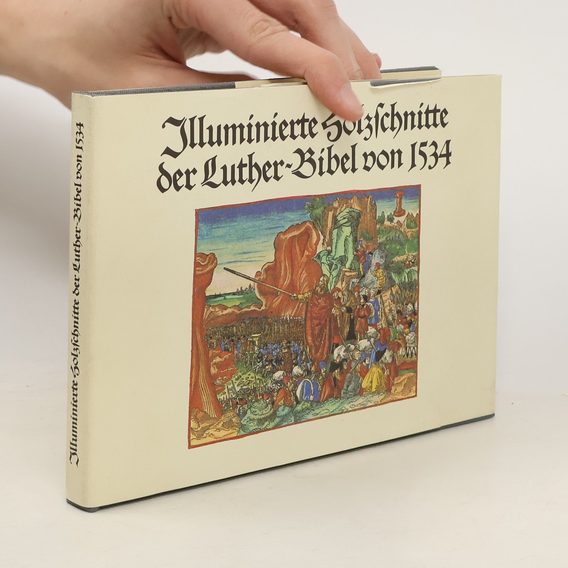 Kolektív autorov Illuminierte Holzschnitte der Luther-Bible von 1534