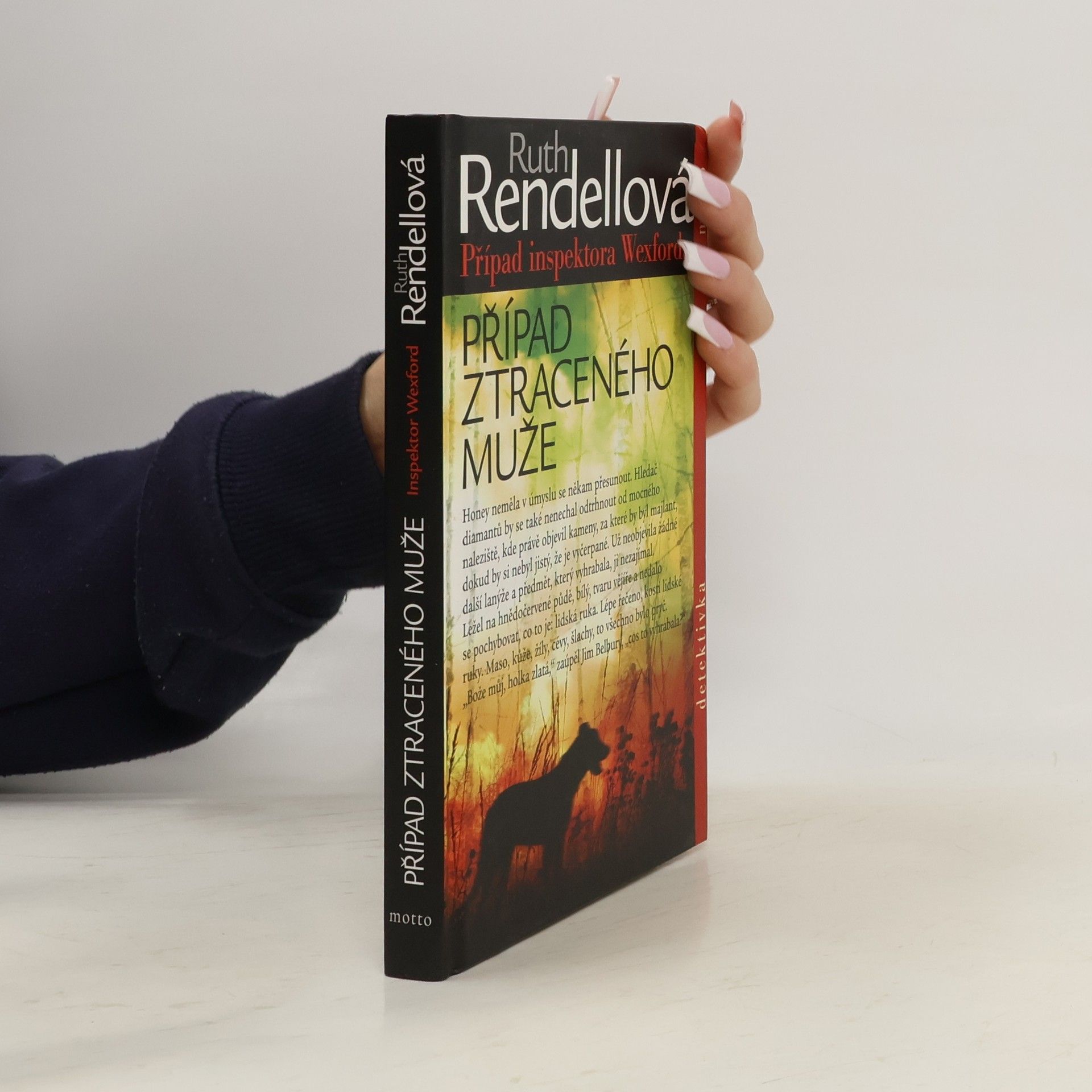 Ruth Rendell Případ ztraceného muže