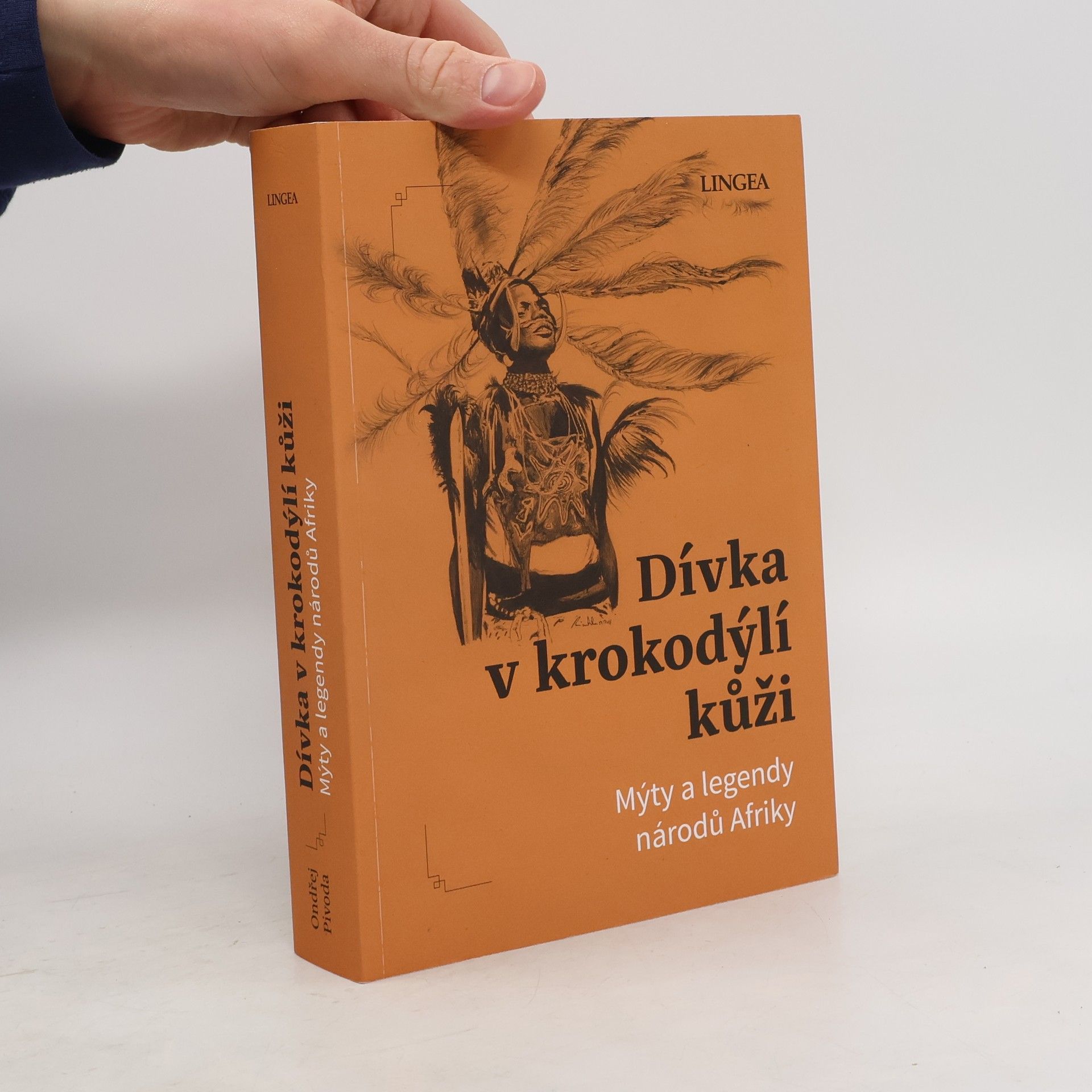 Vladimír Rimbala Dívka v krokodýlí kůži