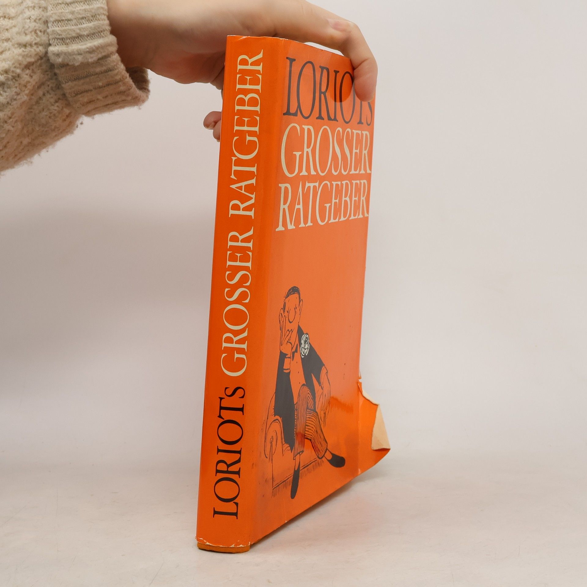 Collectif d'auteurs Loriot's grosser Ratgeber