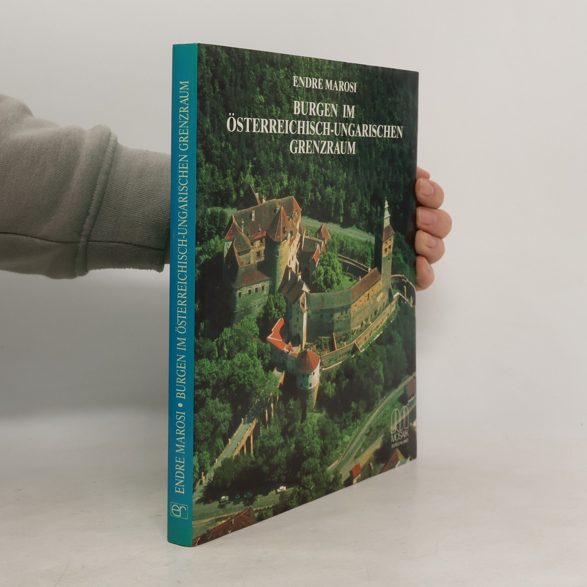 Burgen im österreichisch-ungarischen Grenzraum