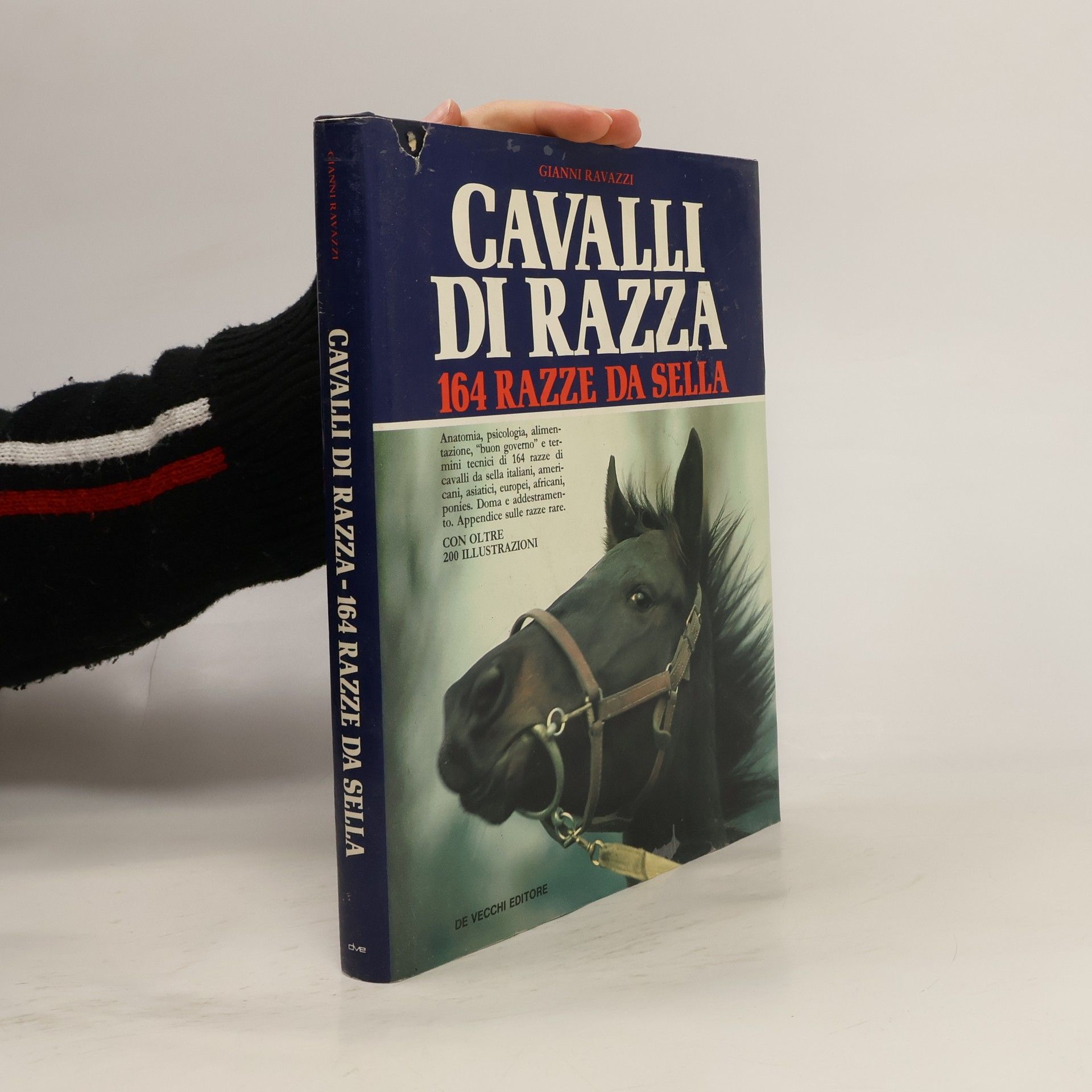 Gianni Ravazzi Cavalli di razza. 164 razze da sella
