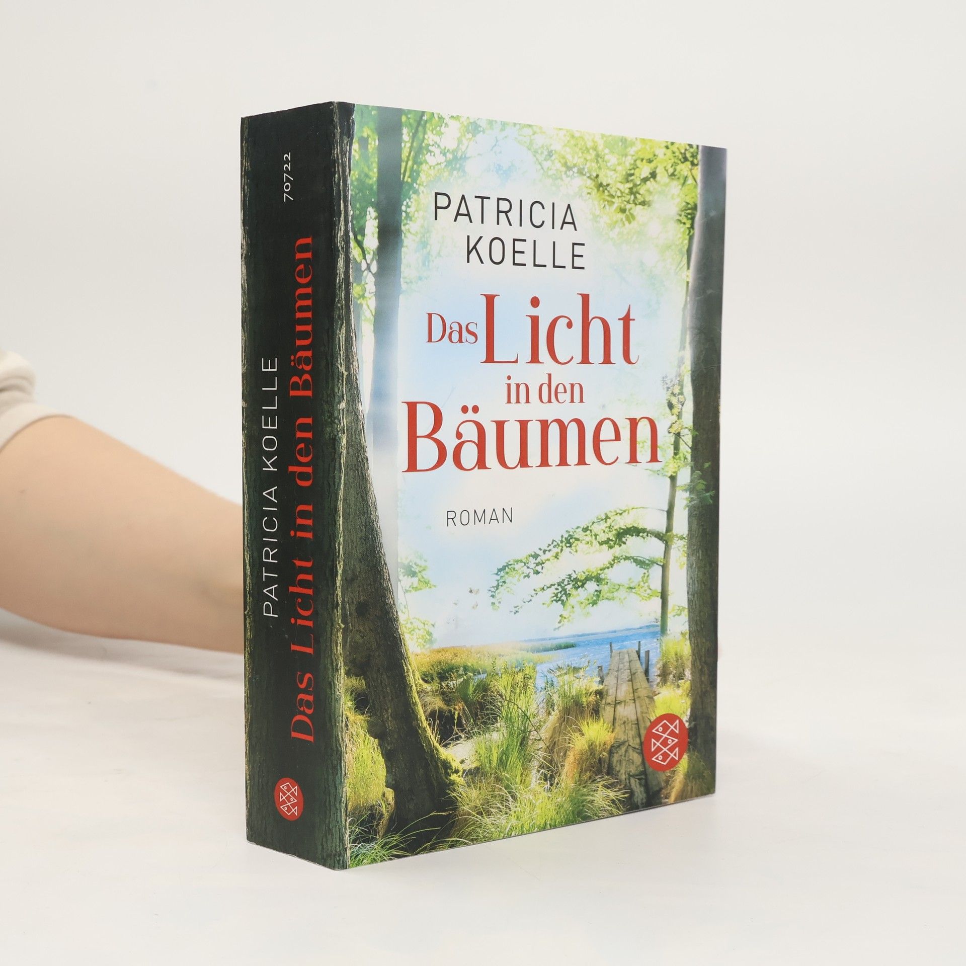 Patricia Koelle Das Licht in den Bäumen