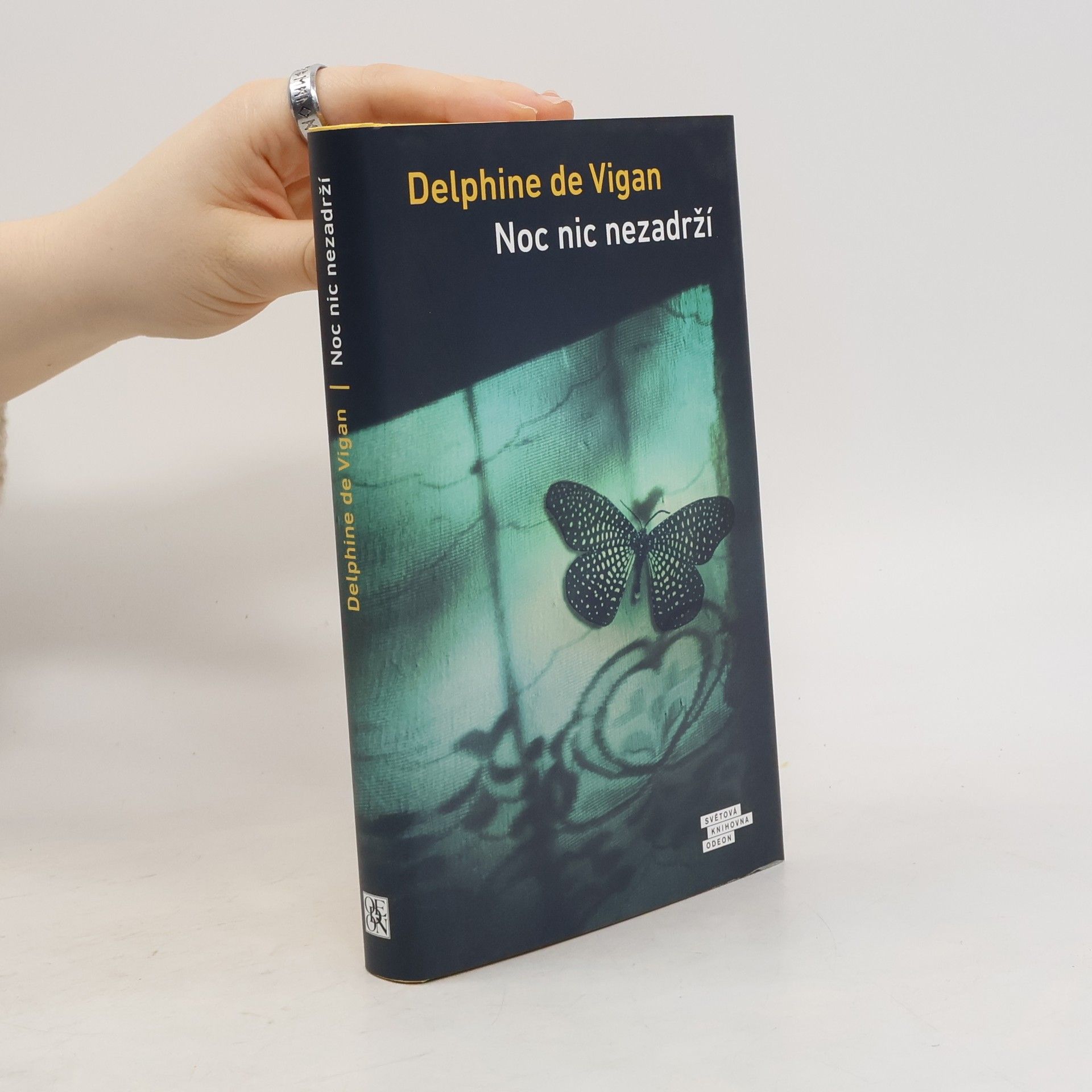 Delphine de Vigan Noc nic nezadrží