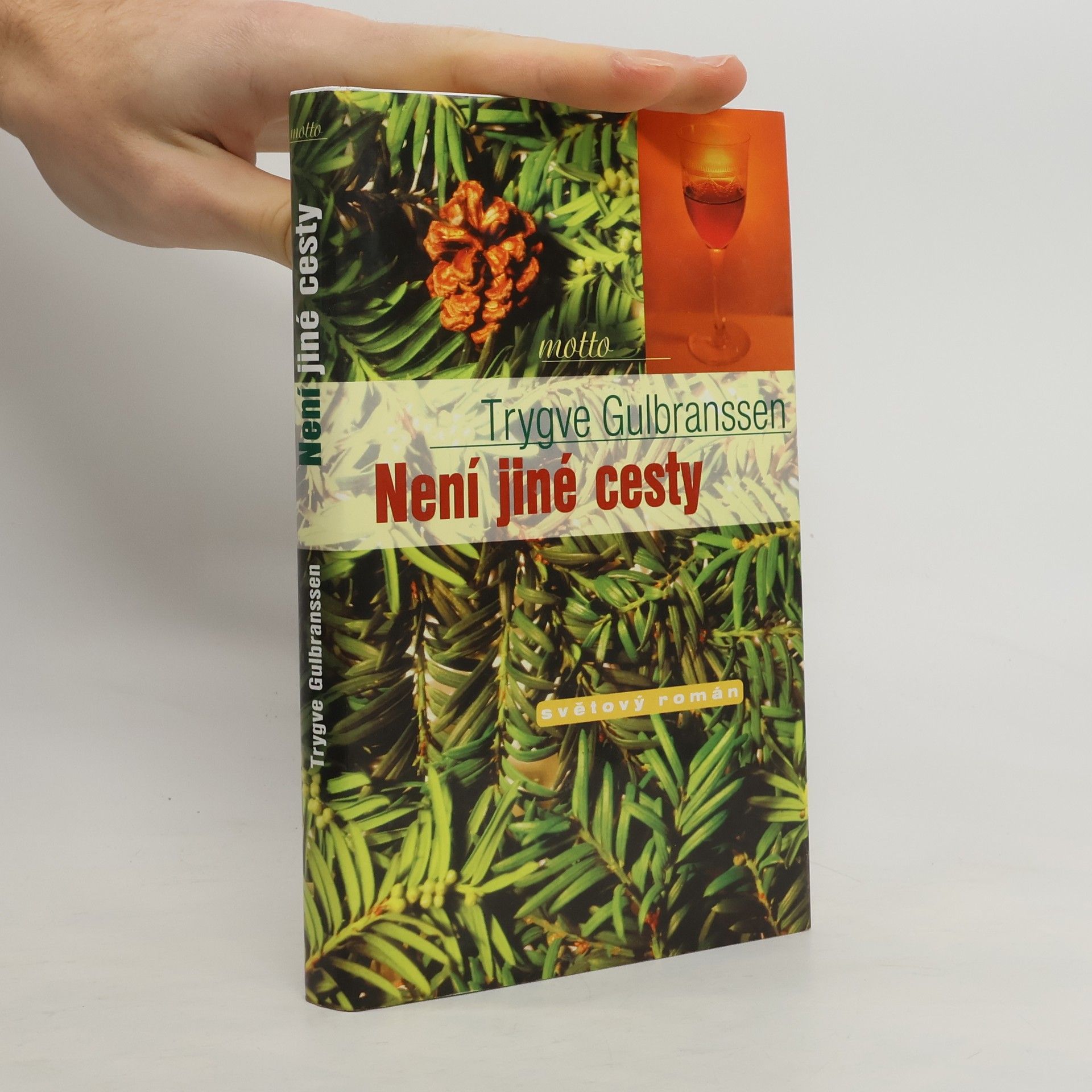 Trygve Gulbranssen Není jiné cesty. Věčně zpívají lesy 3