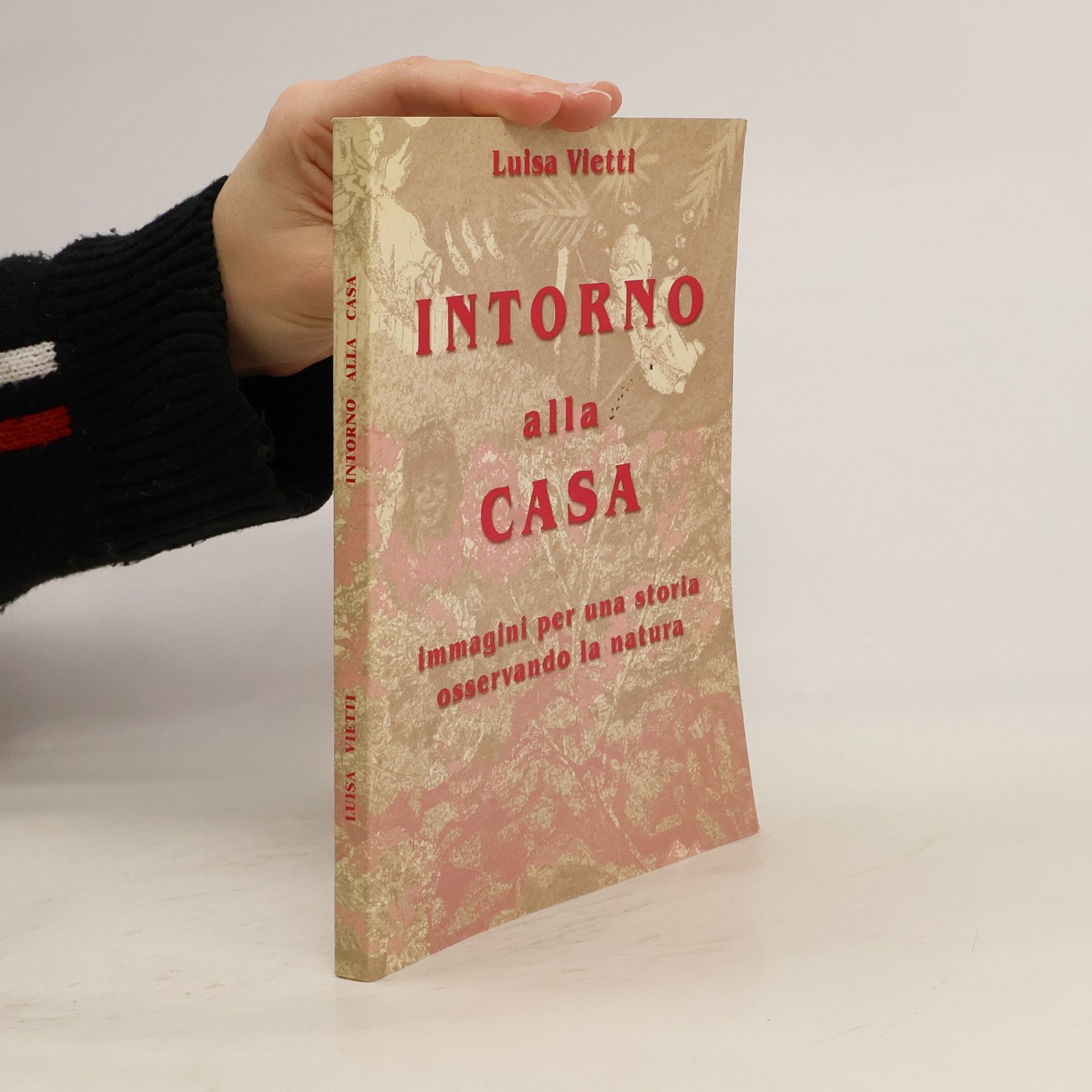 Luisa Vietti Intorno alla casa