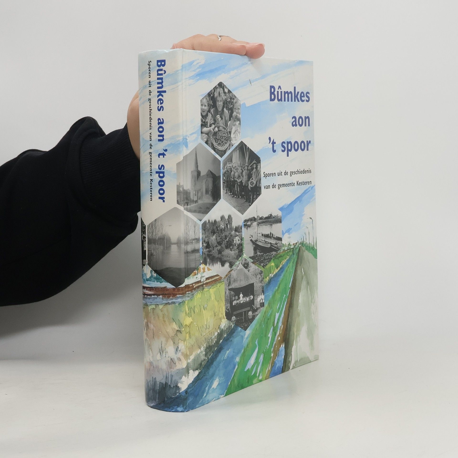 Rita Roodbeen-Heenck Bûmkes aon 't spoor