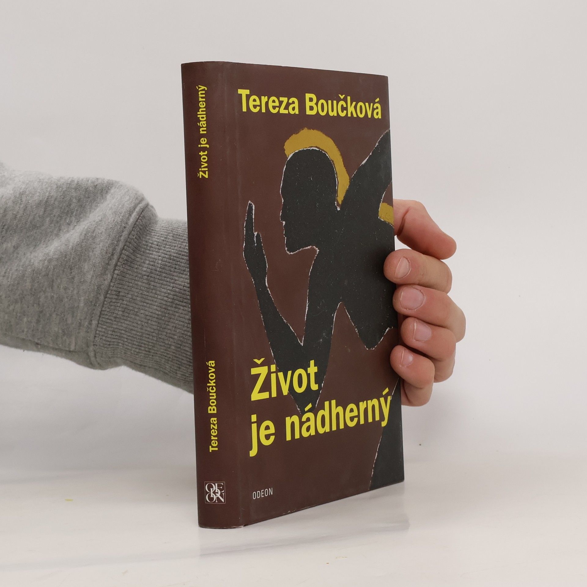 Tereza Boučková Život je nádherný