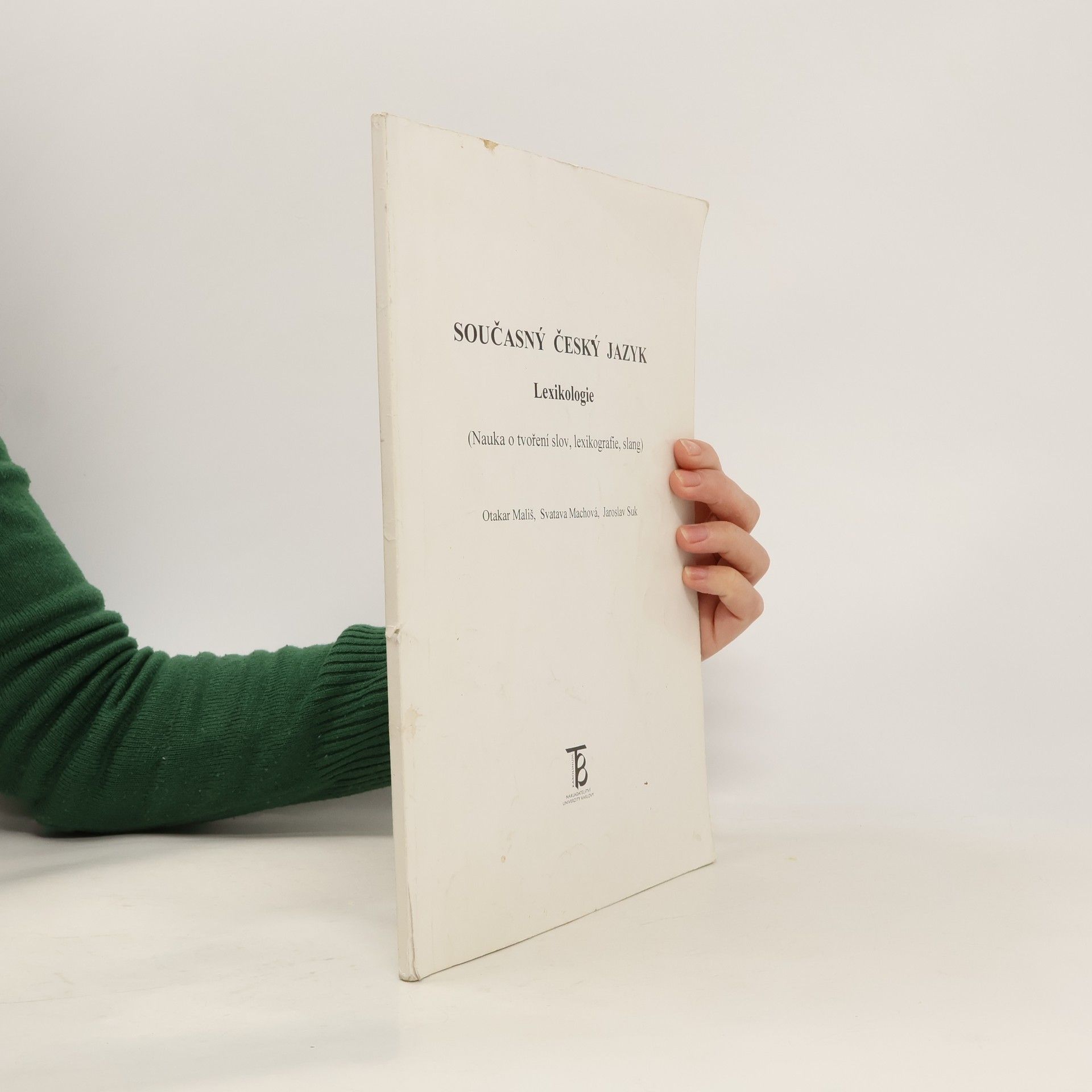 Současný český jazyk