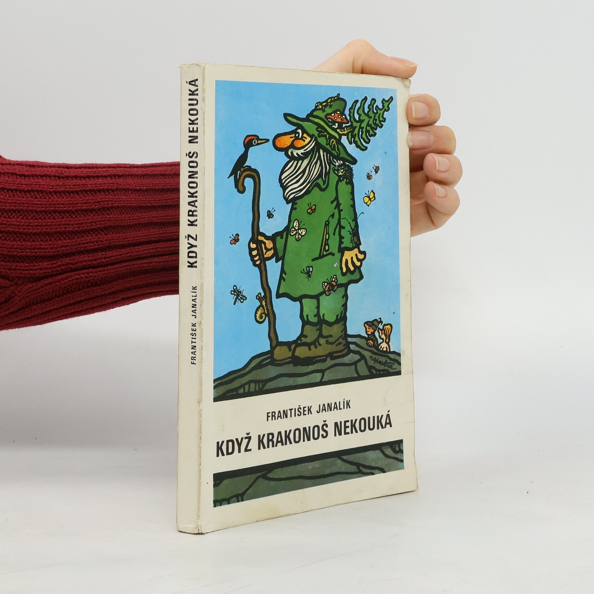 Když Krakonoš nekouká