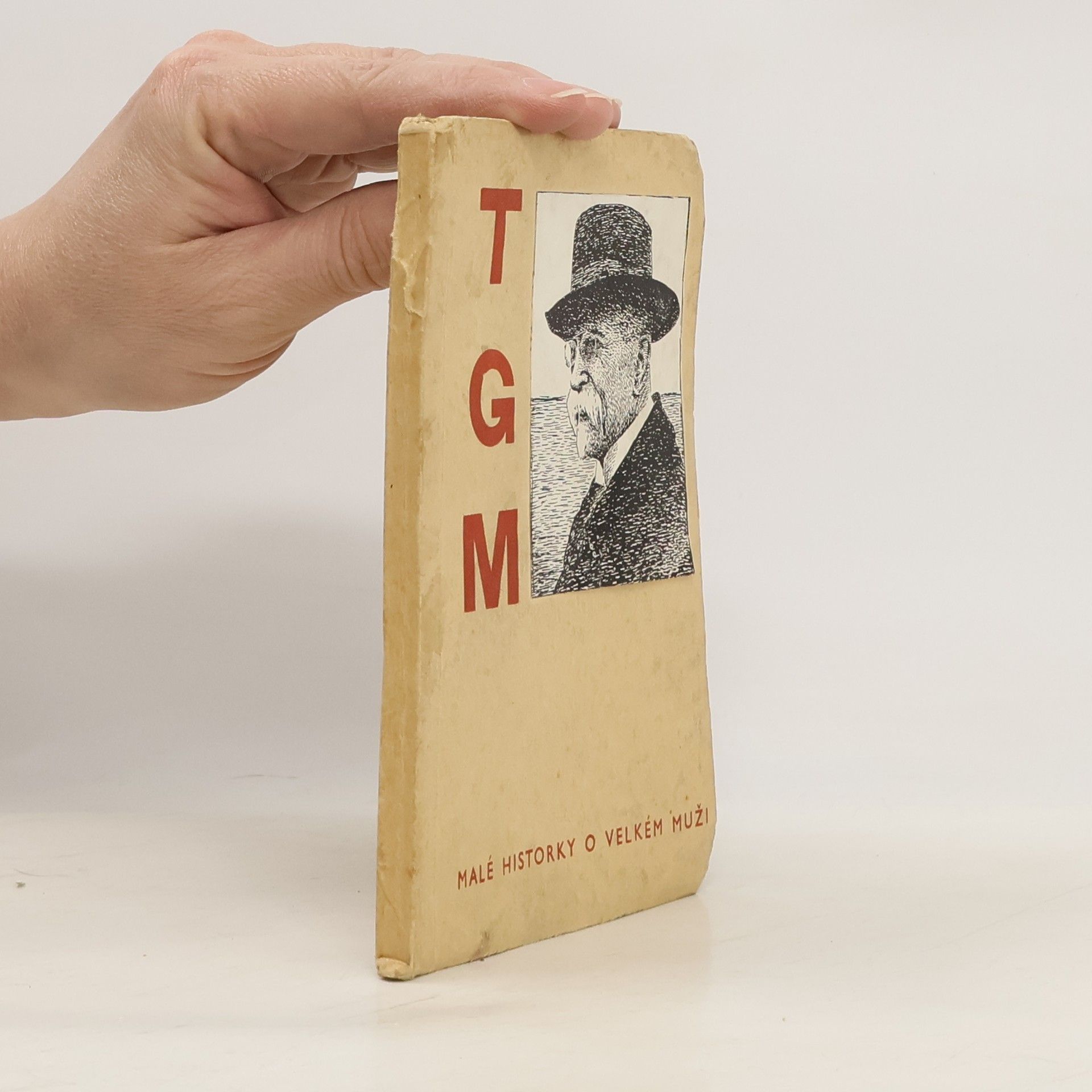 T. G. M. Malé historky o velkém muži