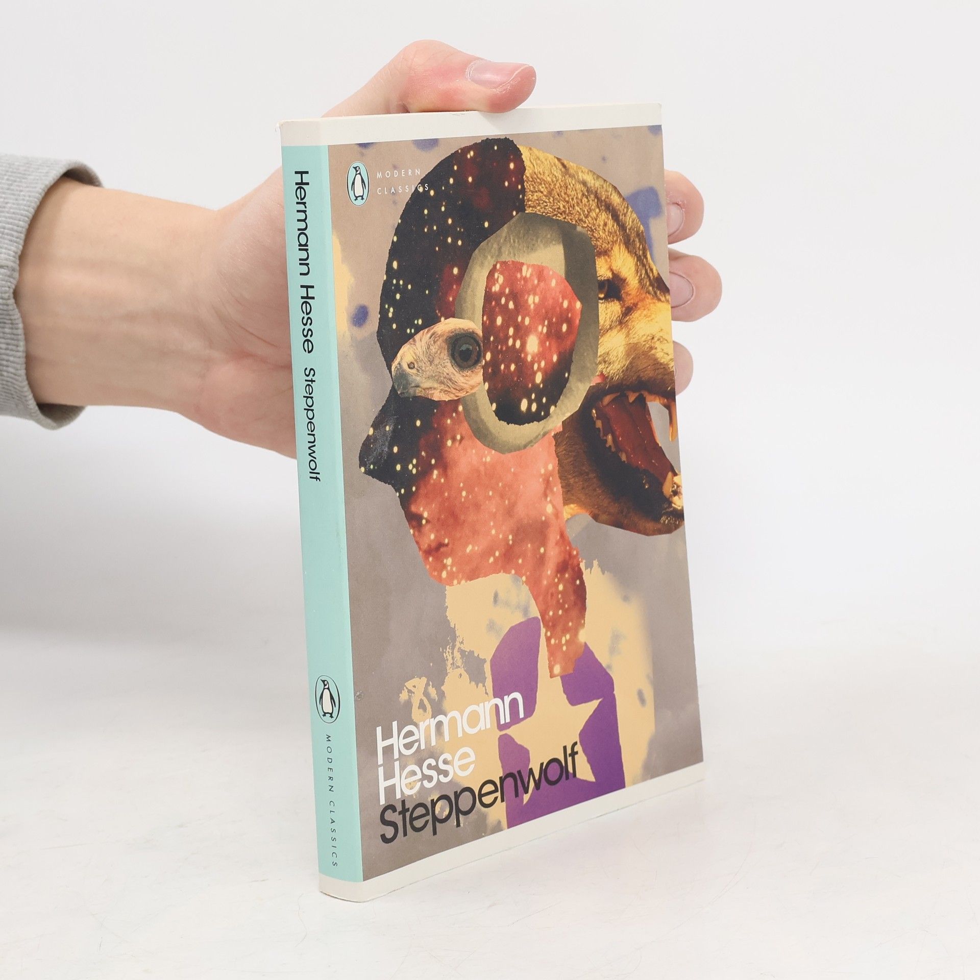 Hermann Hesse Steppenwolf