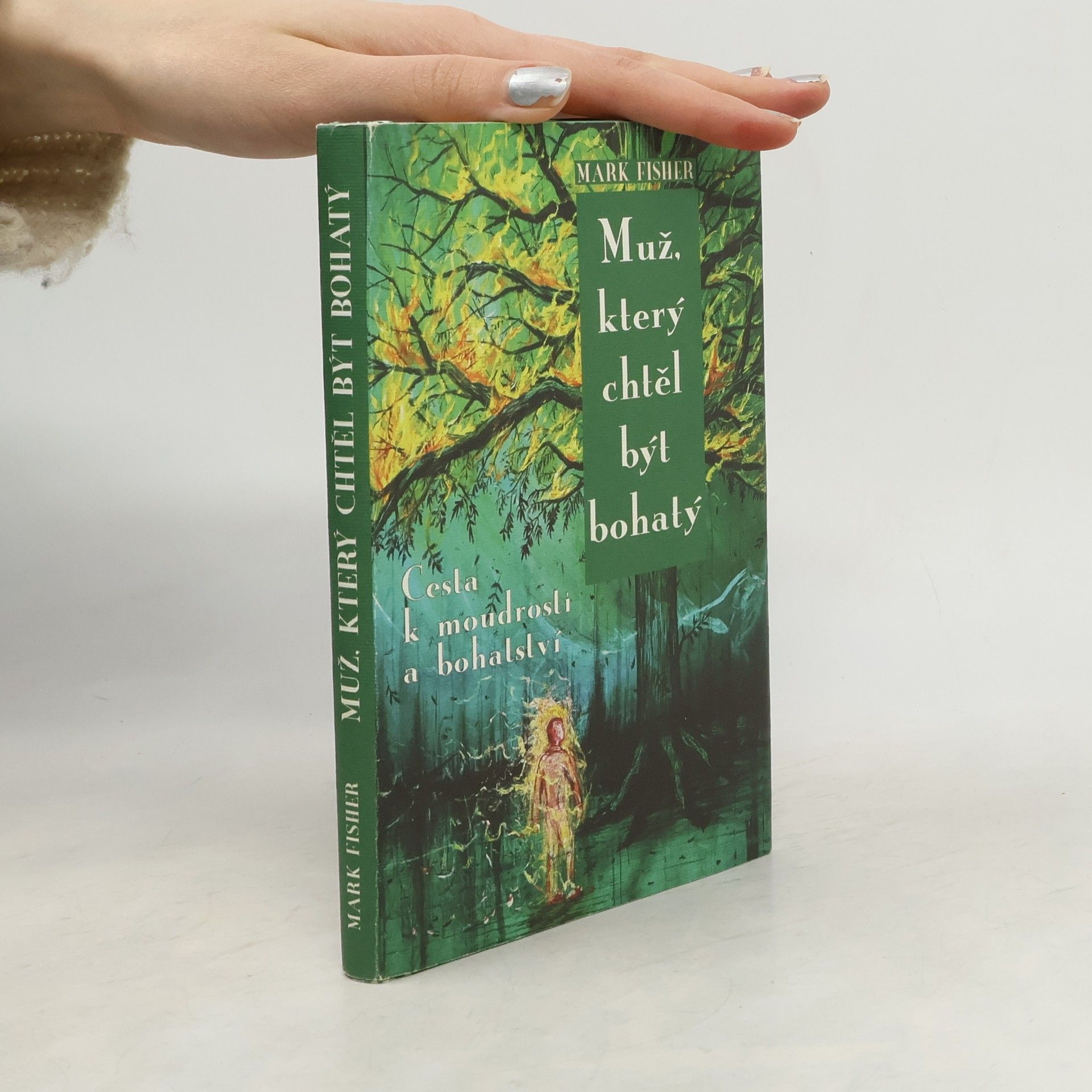 Mark Fisher Muž, který chtěl být bohatý