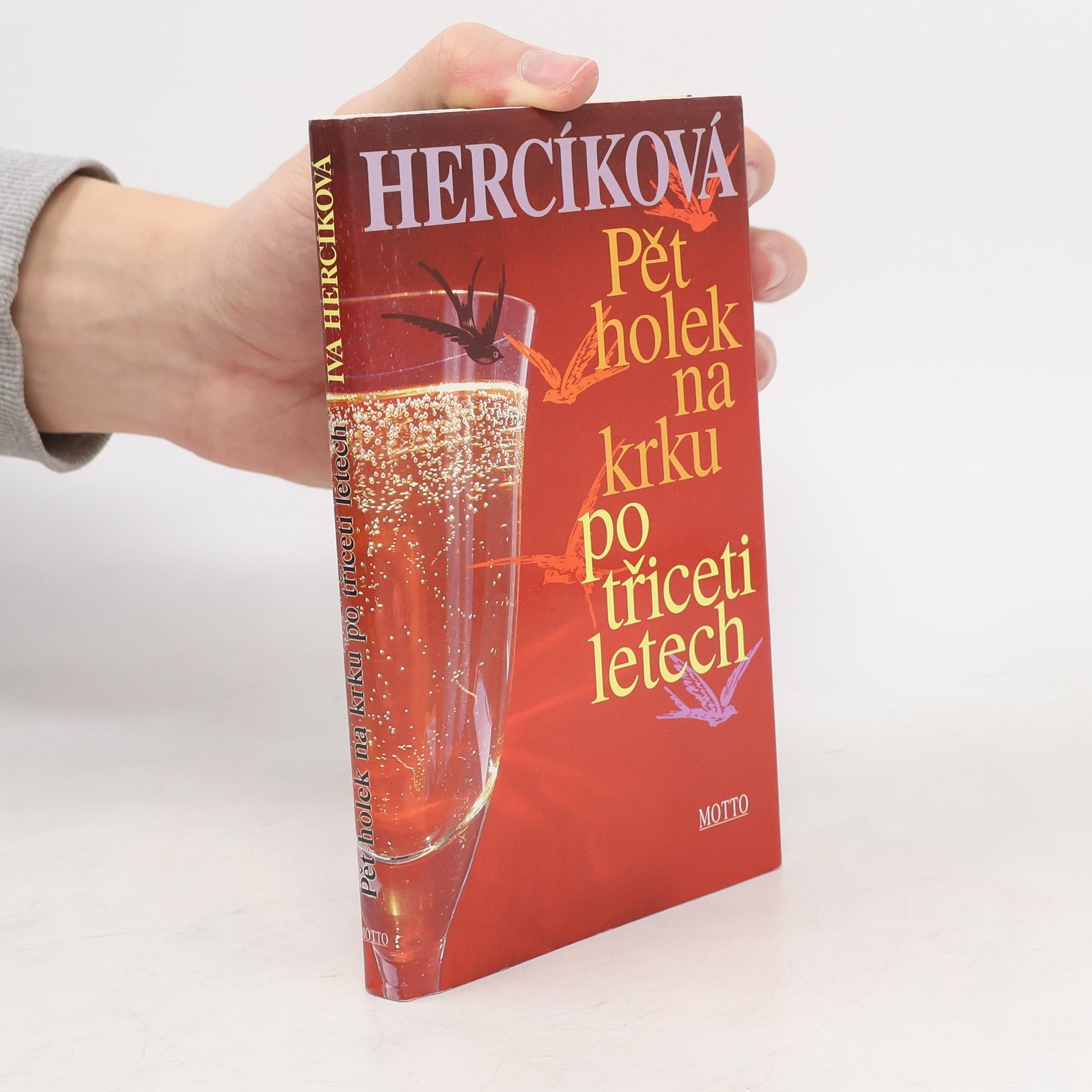 Iva Hercíková Pět holek na krku po třiceti letech