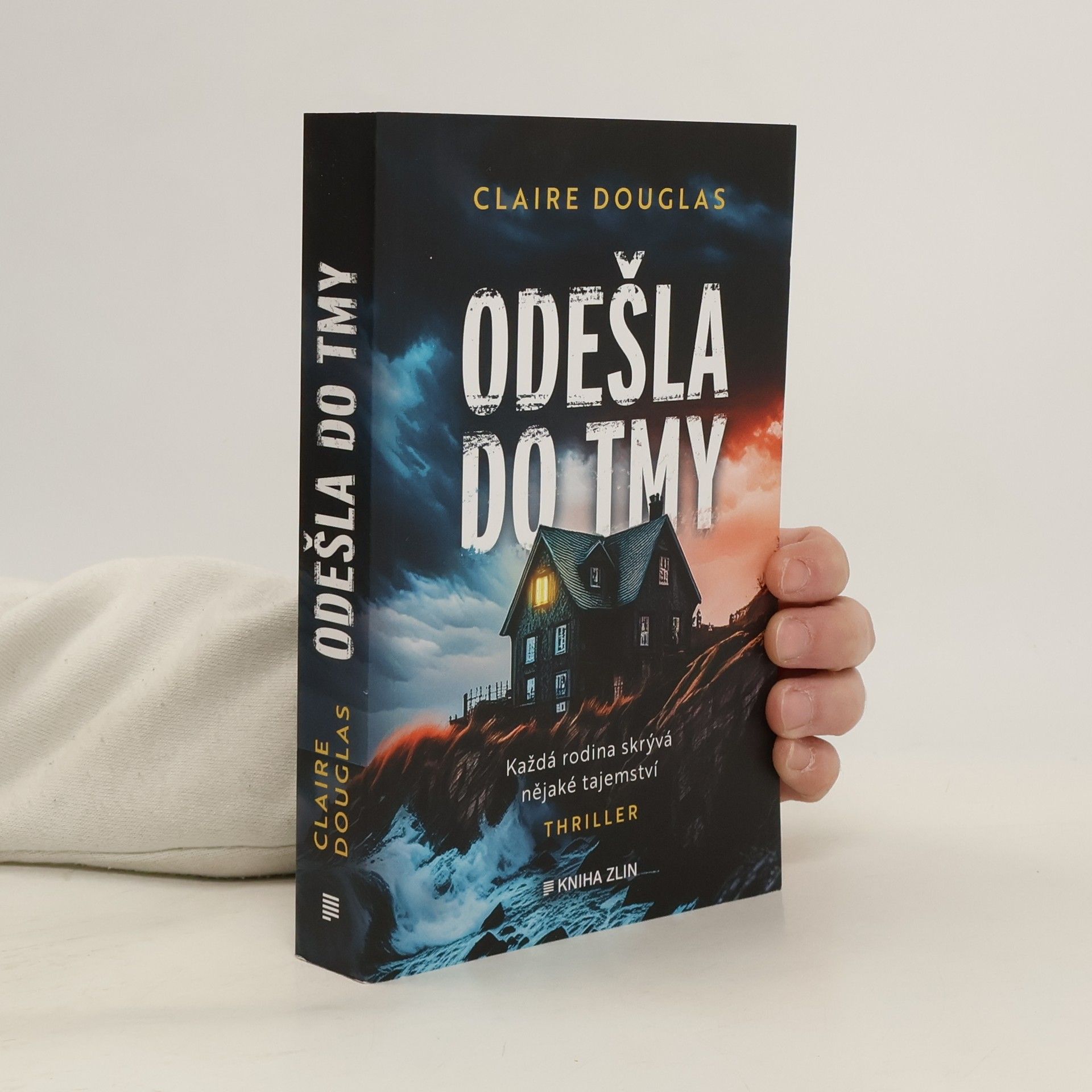 Claire Douglas Odešla do tmy