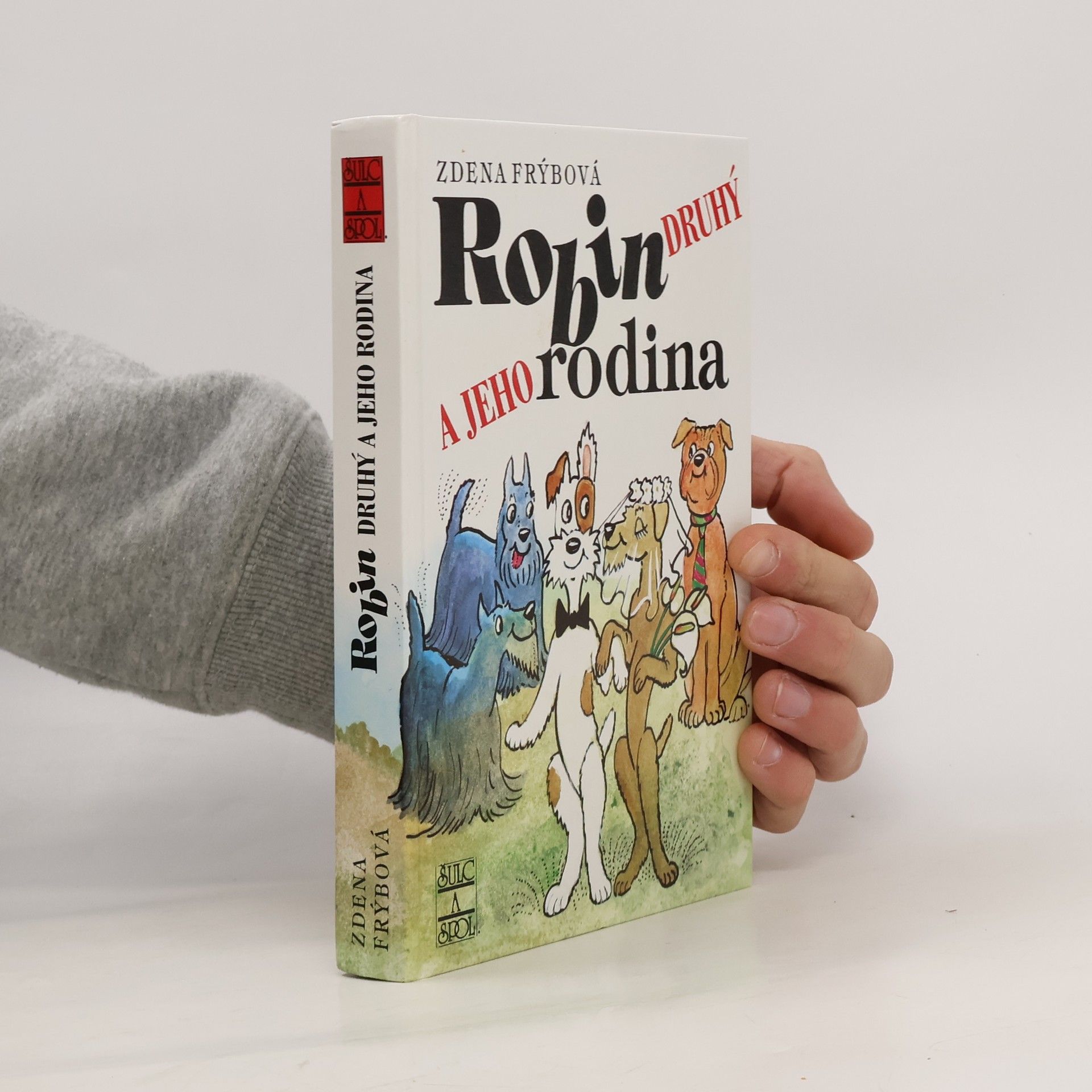 Zdena Frýbová Robin Druhý a jeho rodina