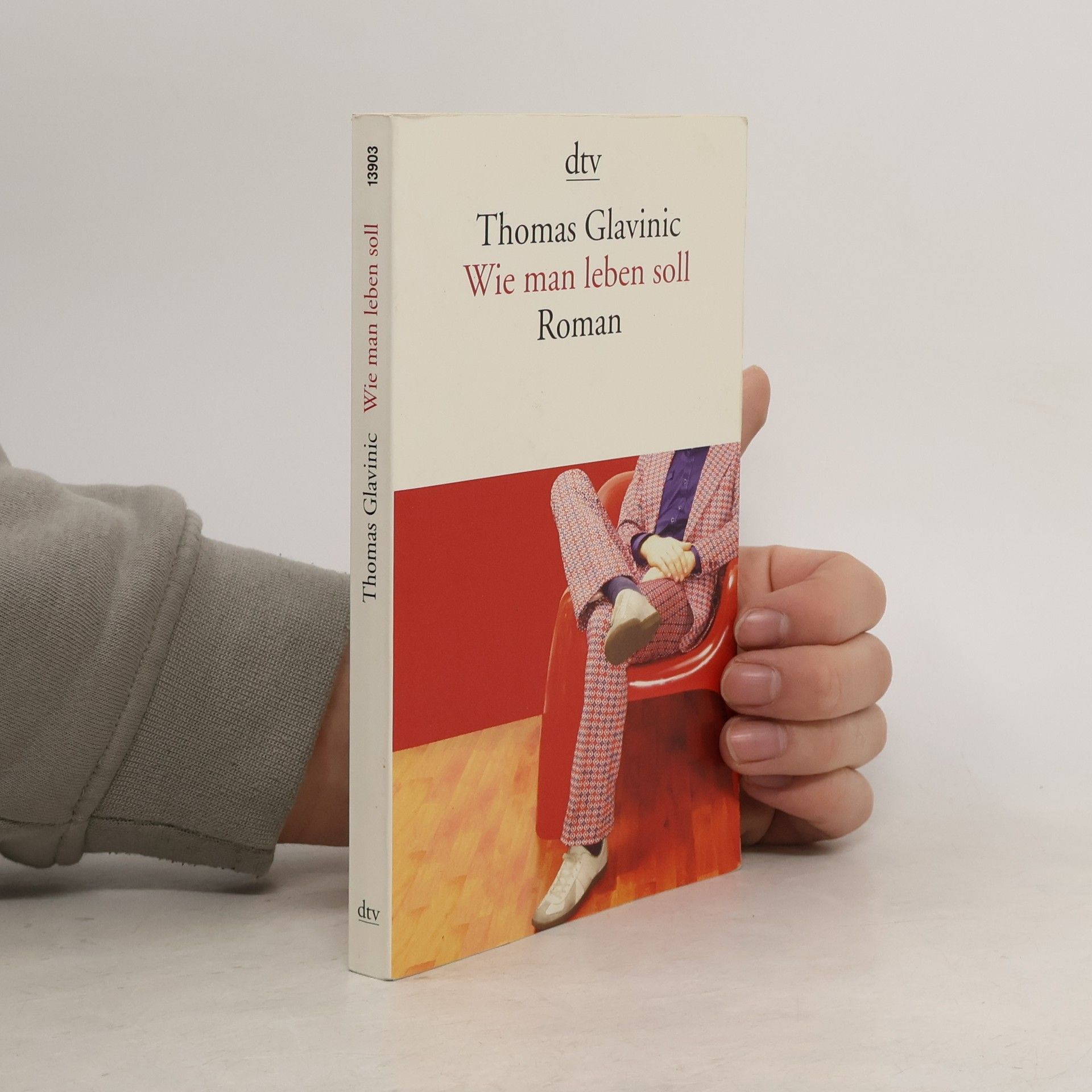 Thomas Glavinic Wie Man leben Soll