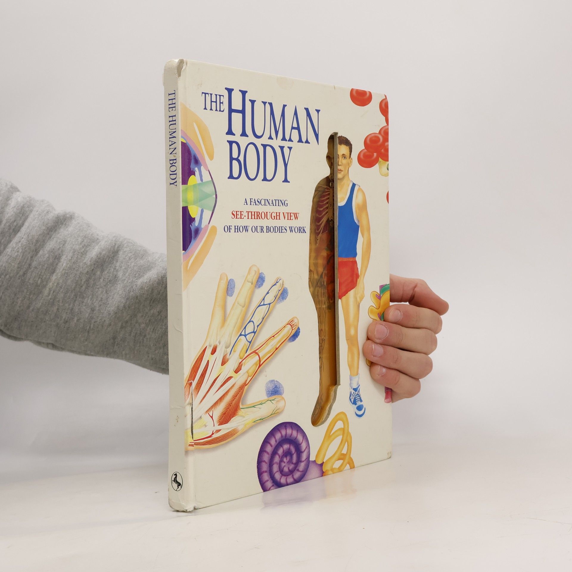 Luisa Dillner Human Body Books: The Human Body
