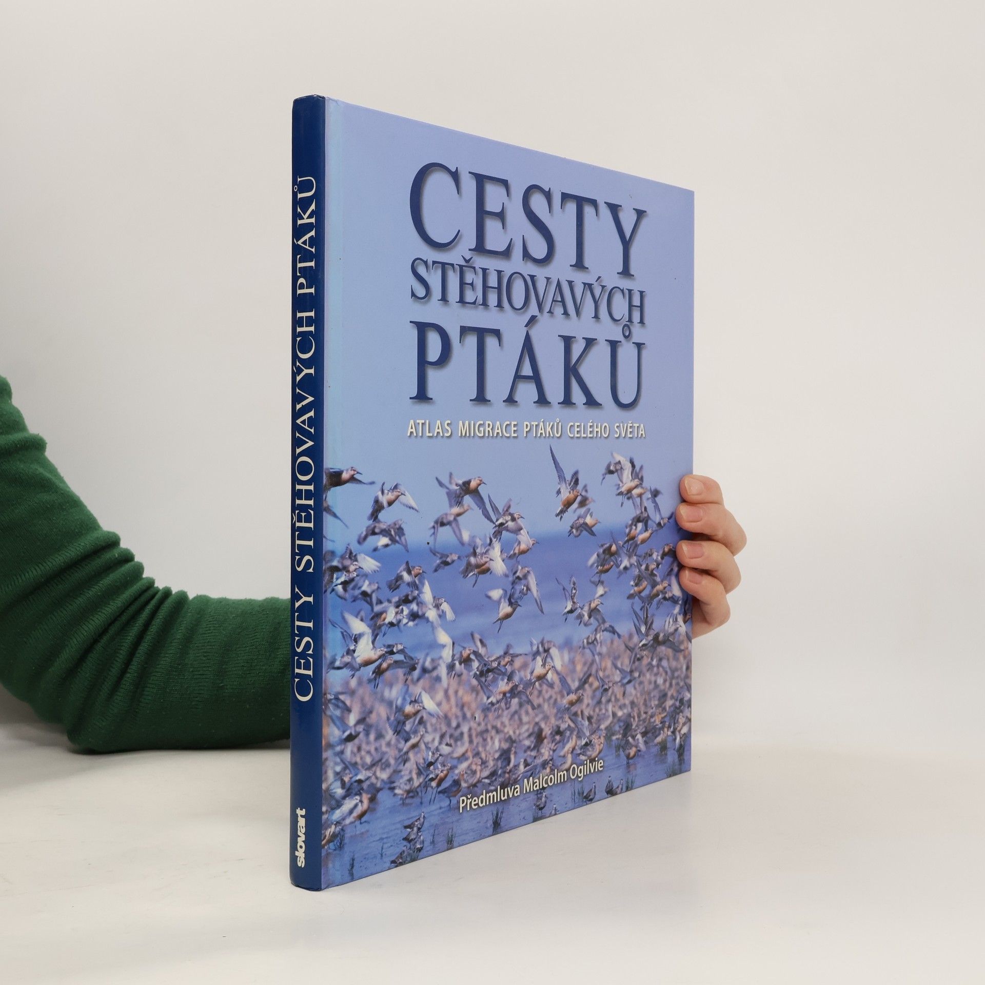 Cesty stěhovavých ptáků