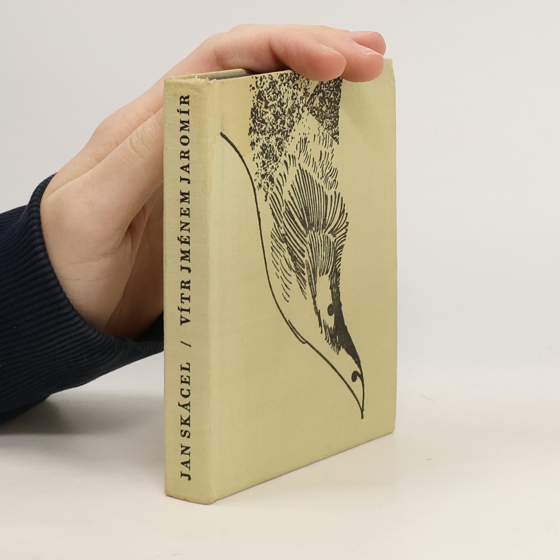 Jan Skácel Vítr jménem Jaromír