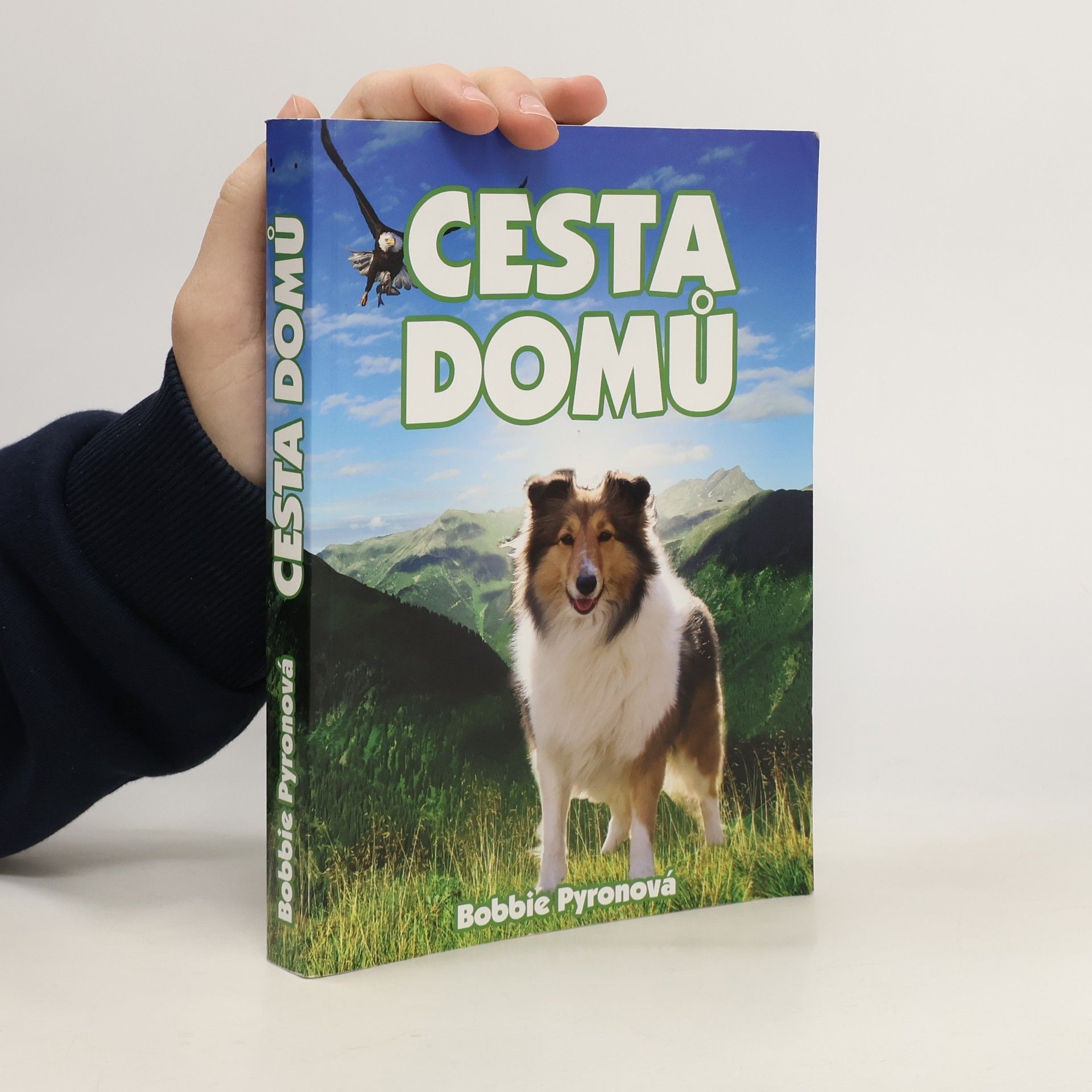 Bobbie Pyron Cesta domů