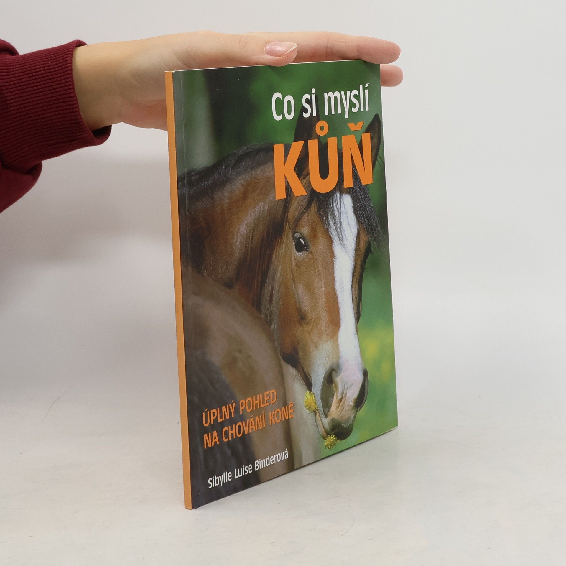 Co si myslí kůň : úplný pohled na chování koně