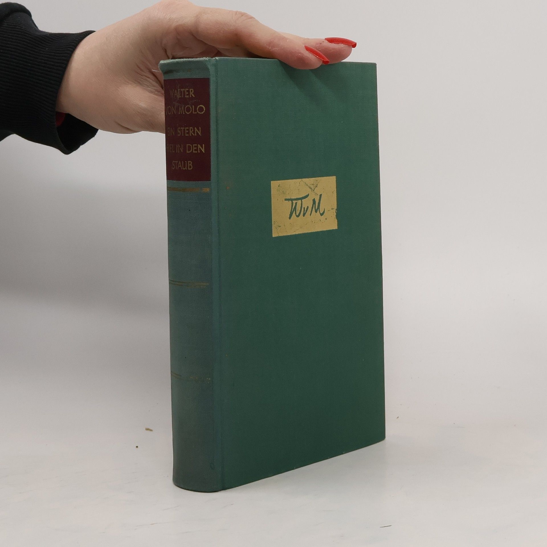 Ein Stern Fiel in den Staub