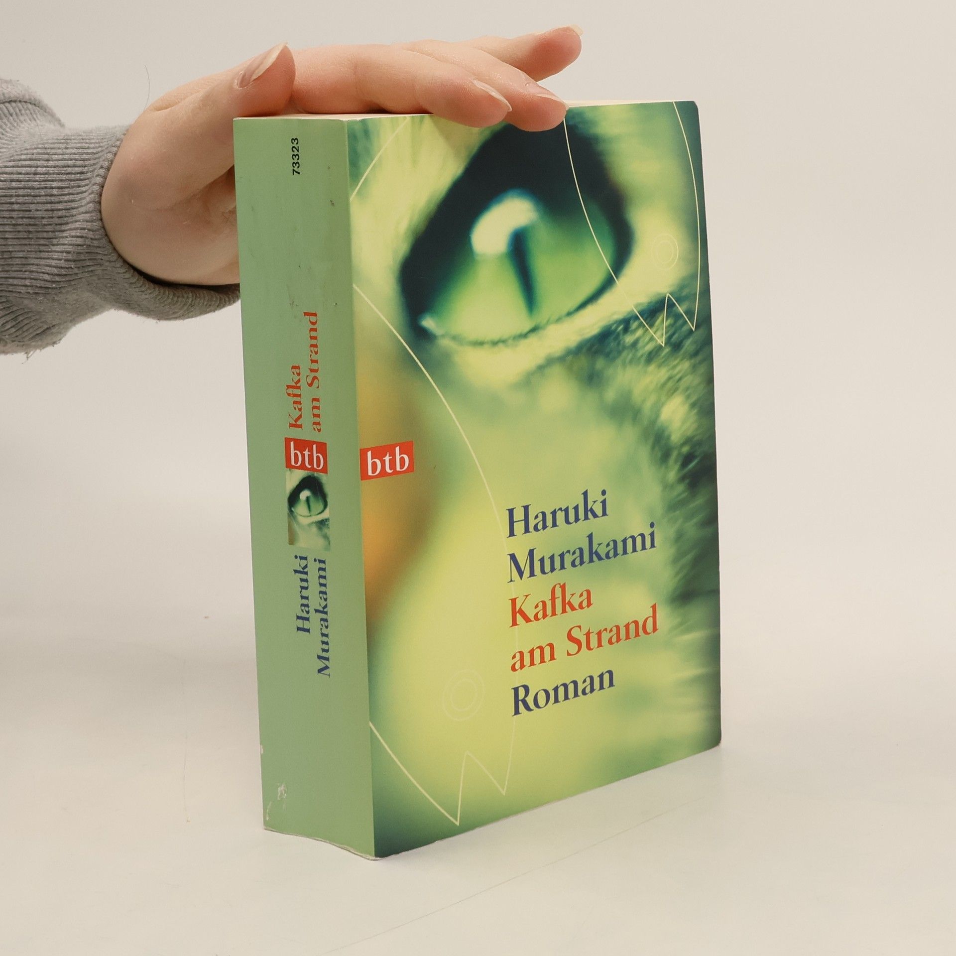 Haruki Murakami Kafka am Strand