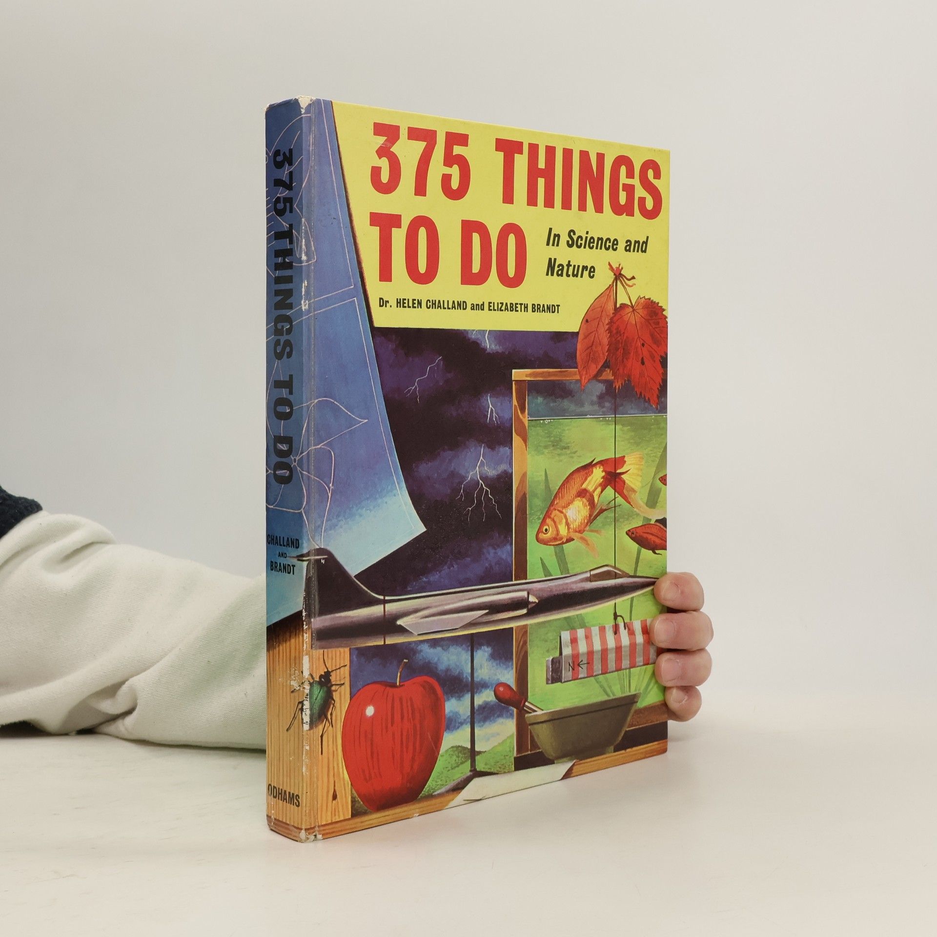 Helen Challand  375 Thingsto do