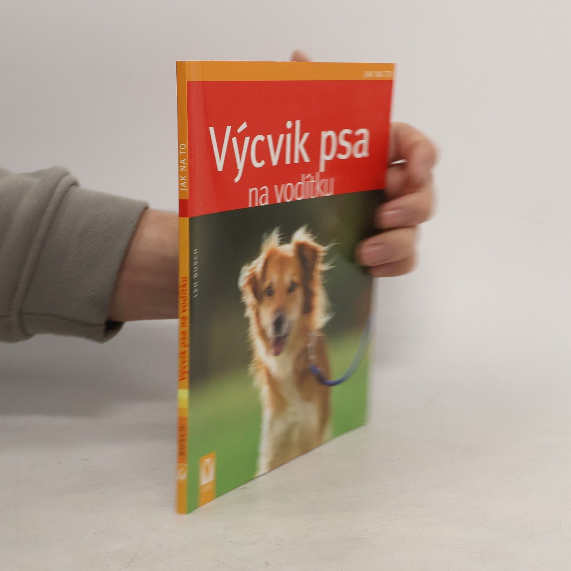 Výcvik psa na vodítku