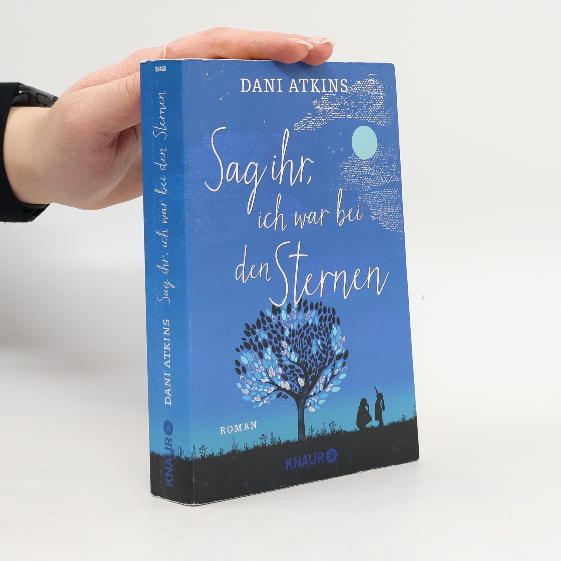 Dani Atkins Sag ihr, ich war bei den Sternen