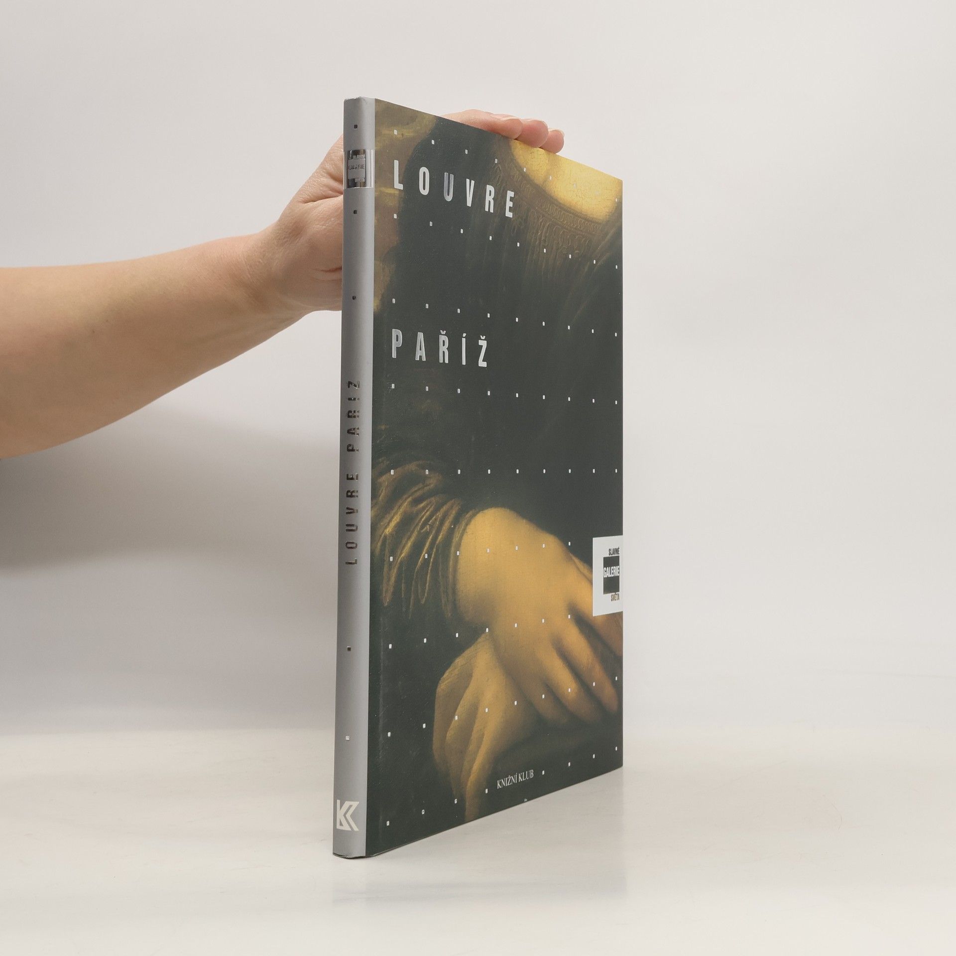 Alessandra Fregolent Slavné galerie světa. Louvre - Paříž