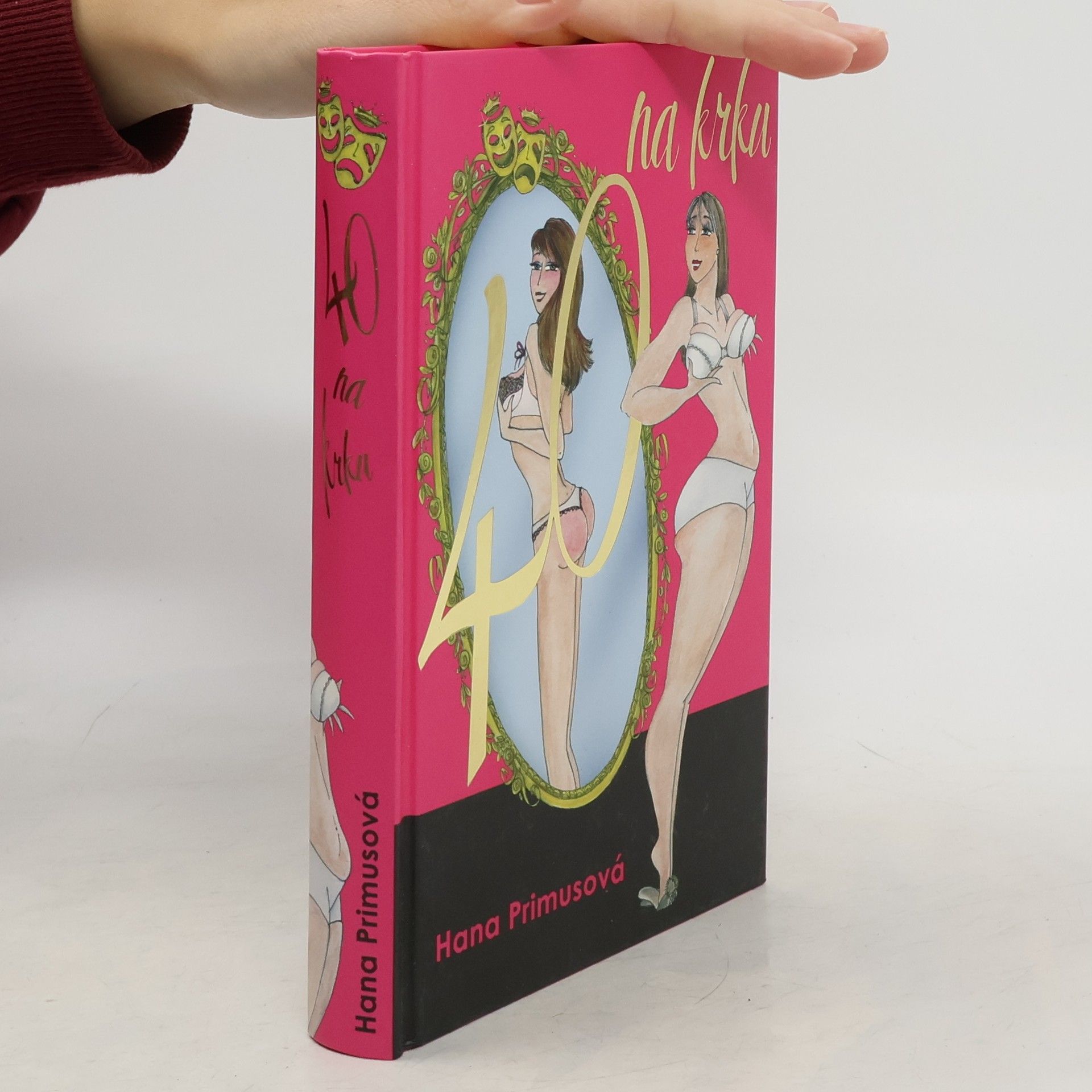 Hana Primusová Čtyřicítka na krku, aneb, Tragikomické povídání pro dospělé dámy