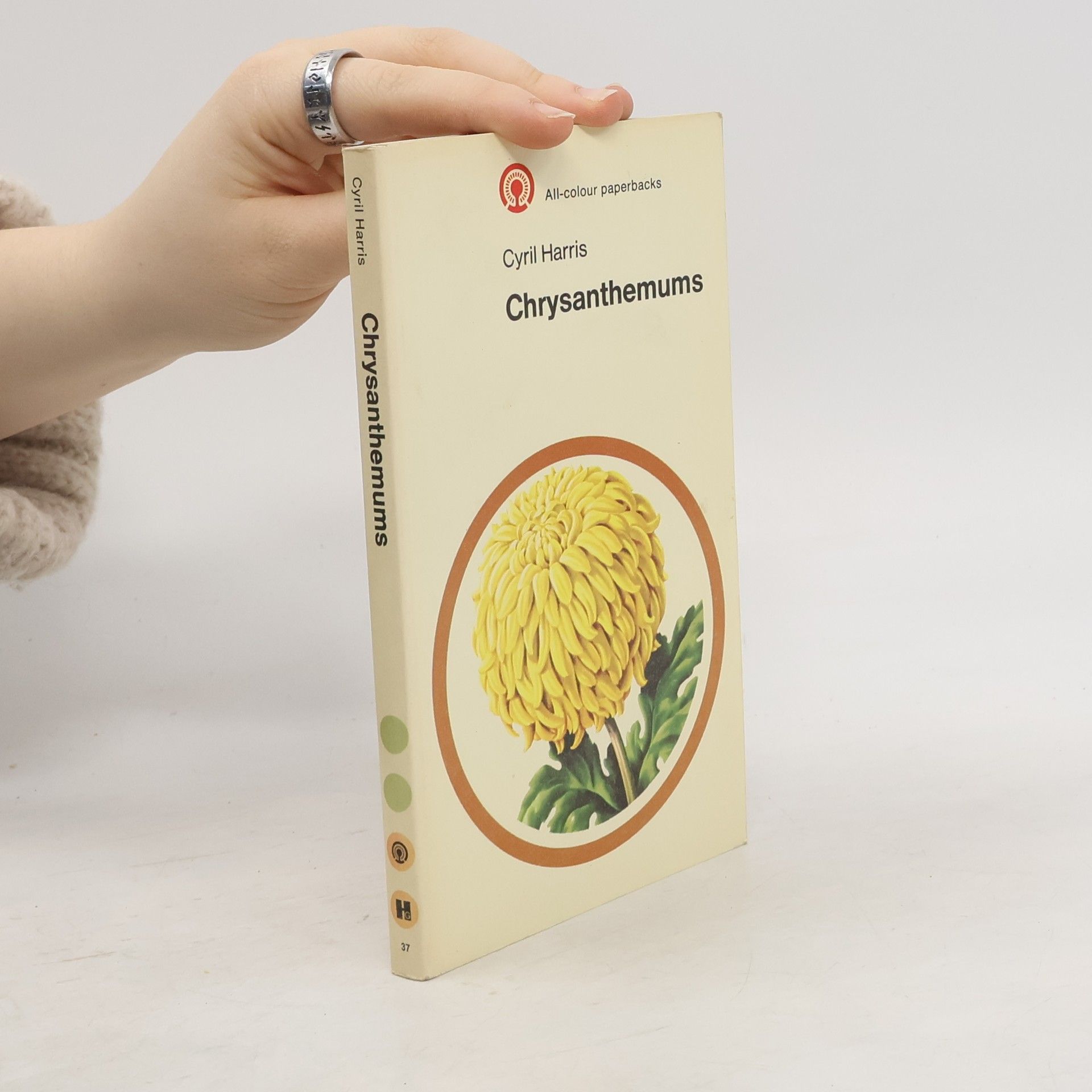 Cyril Harris Chrysanthemums