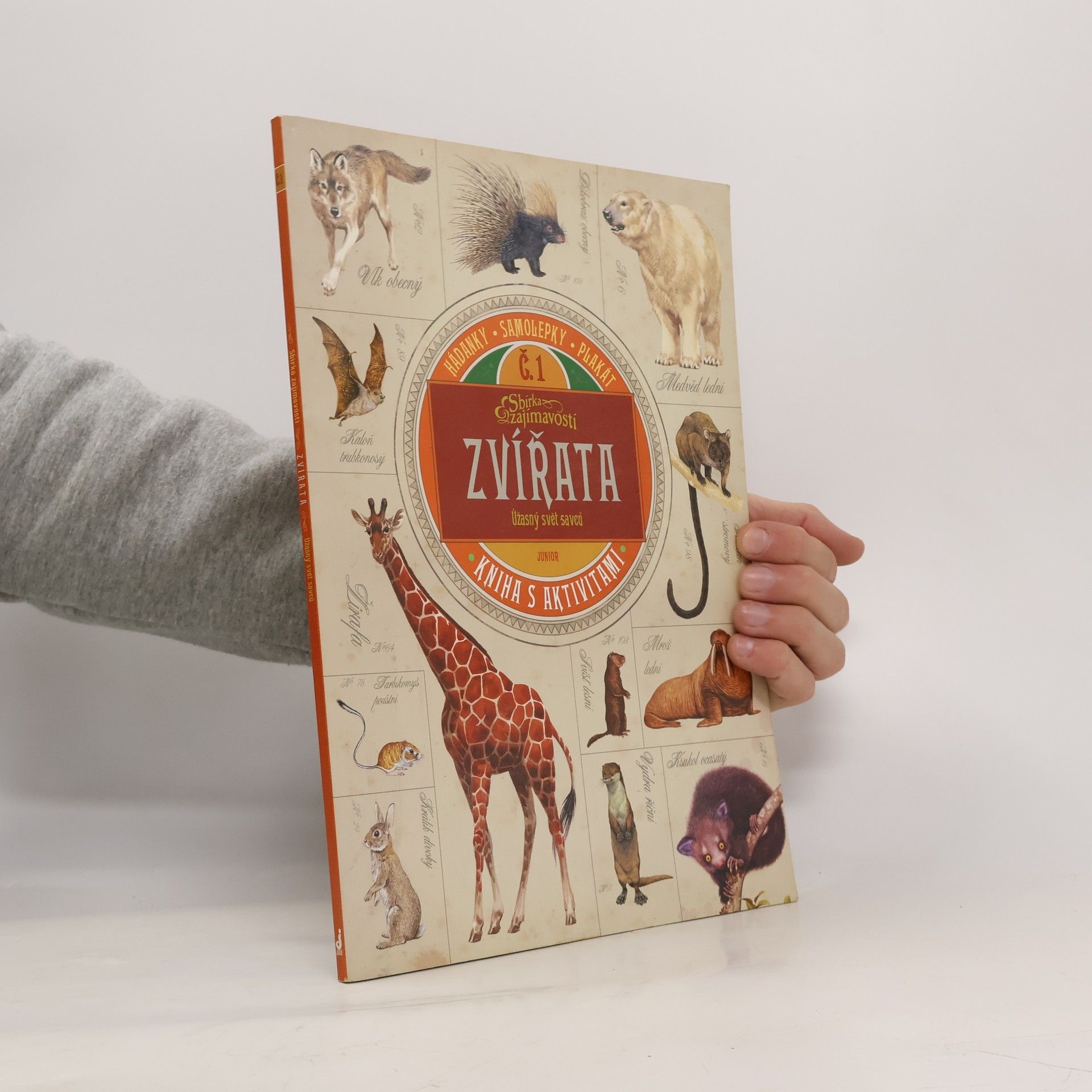 Zvířata : úžasný svět savců