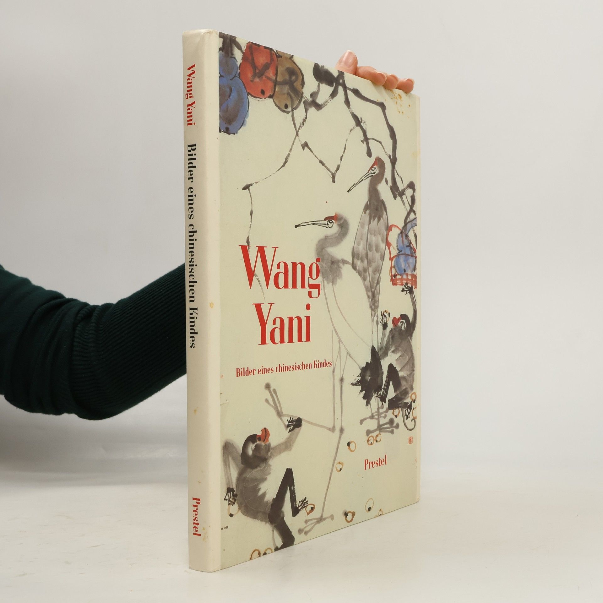 Wang Yani. Bilder eines chinesischen Kindes